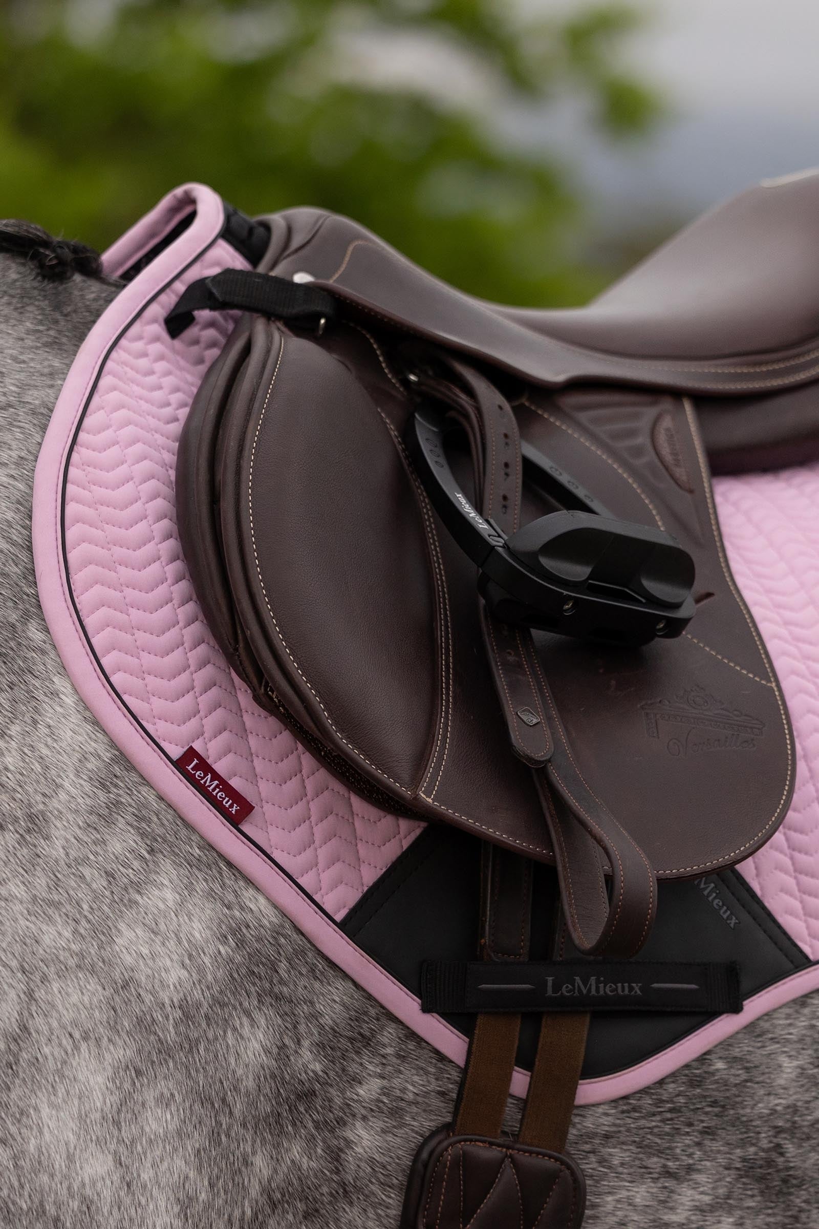 LeMieux Essence Eurojump Jumping Saddle Pad Saddle Pads