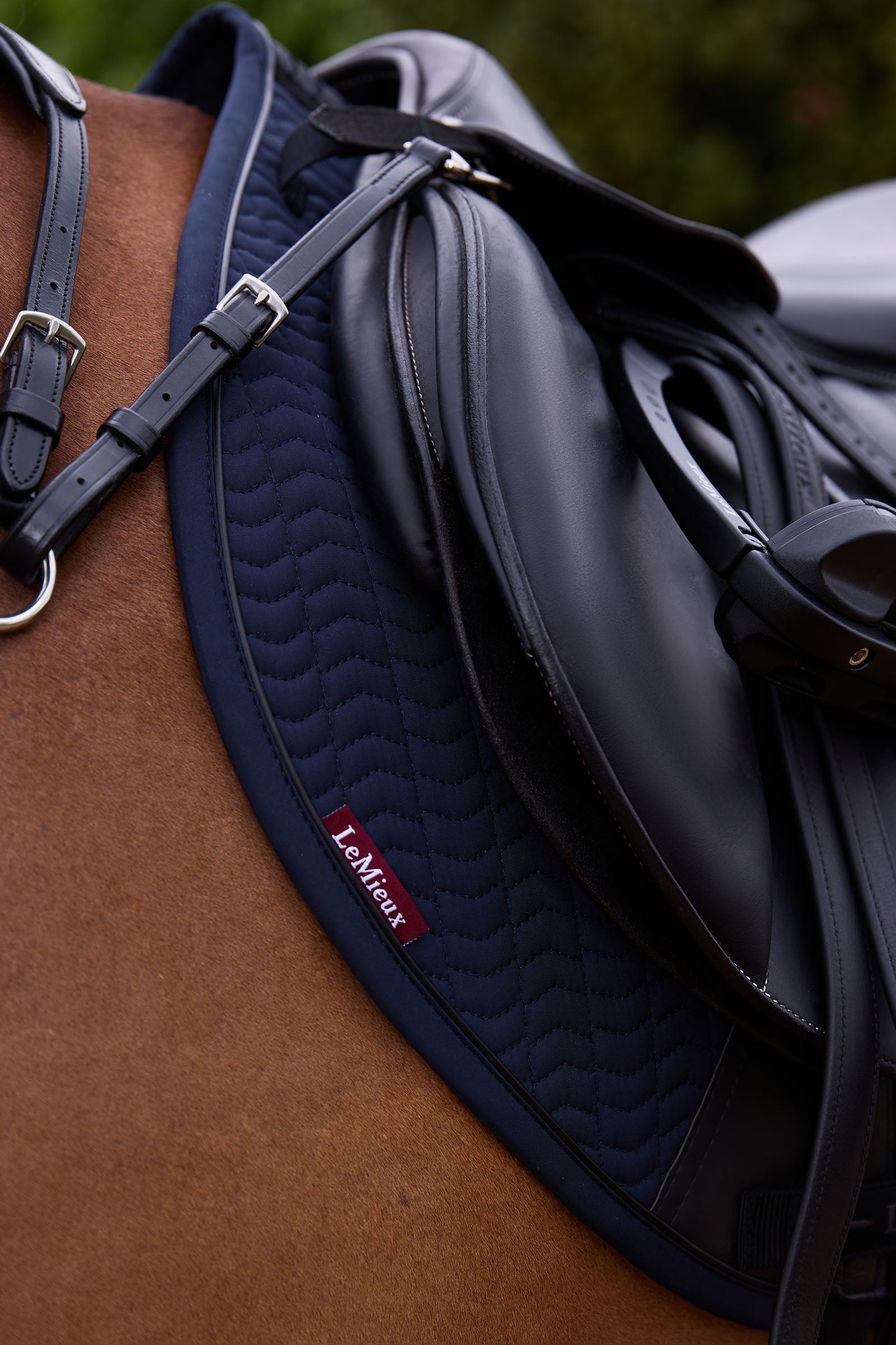 LeMieux Essence Eurojump Jumping Saddle Pad Saddle Pads