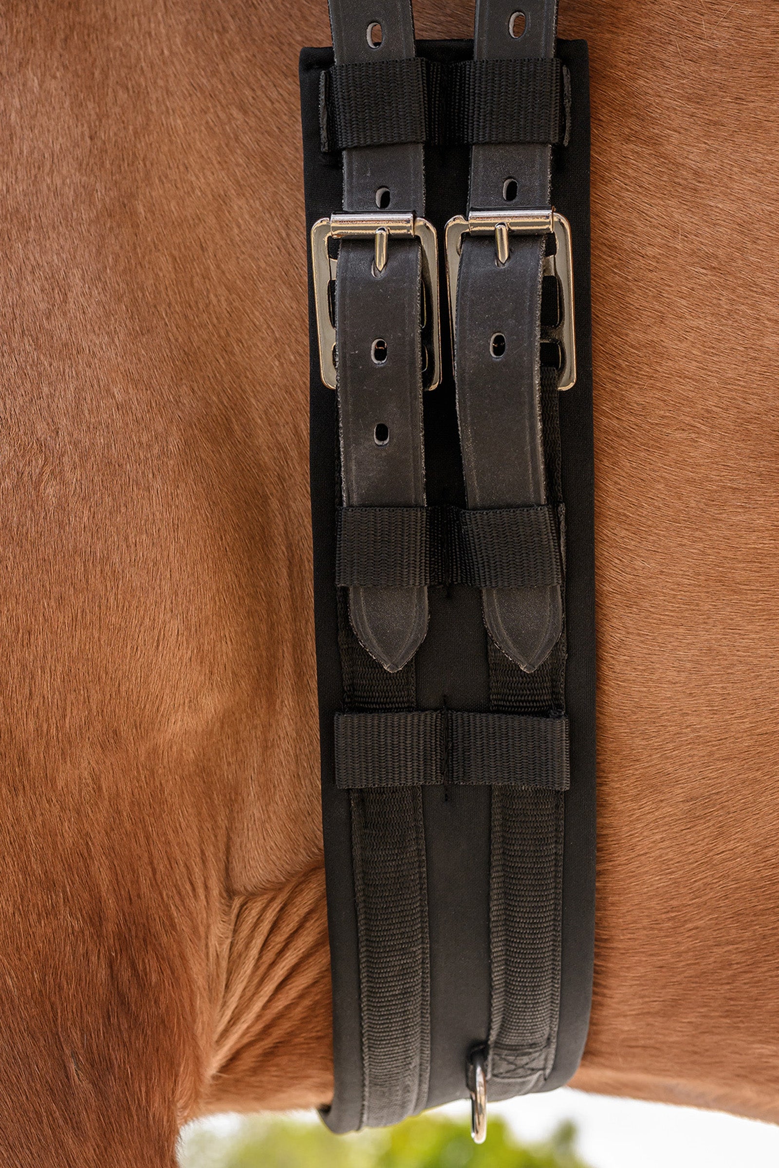 Waldhausen ECONOMIC Dressage Girth Saddles, Girths & Stirrups