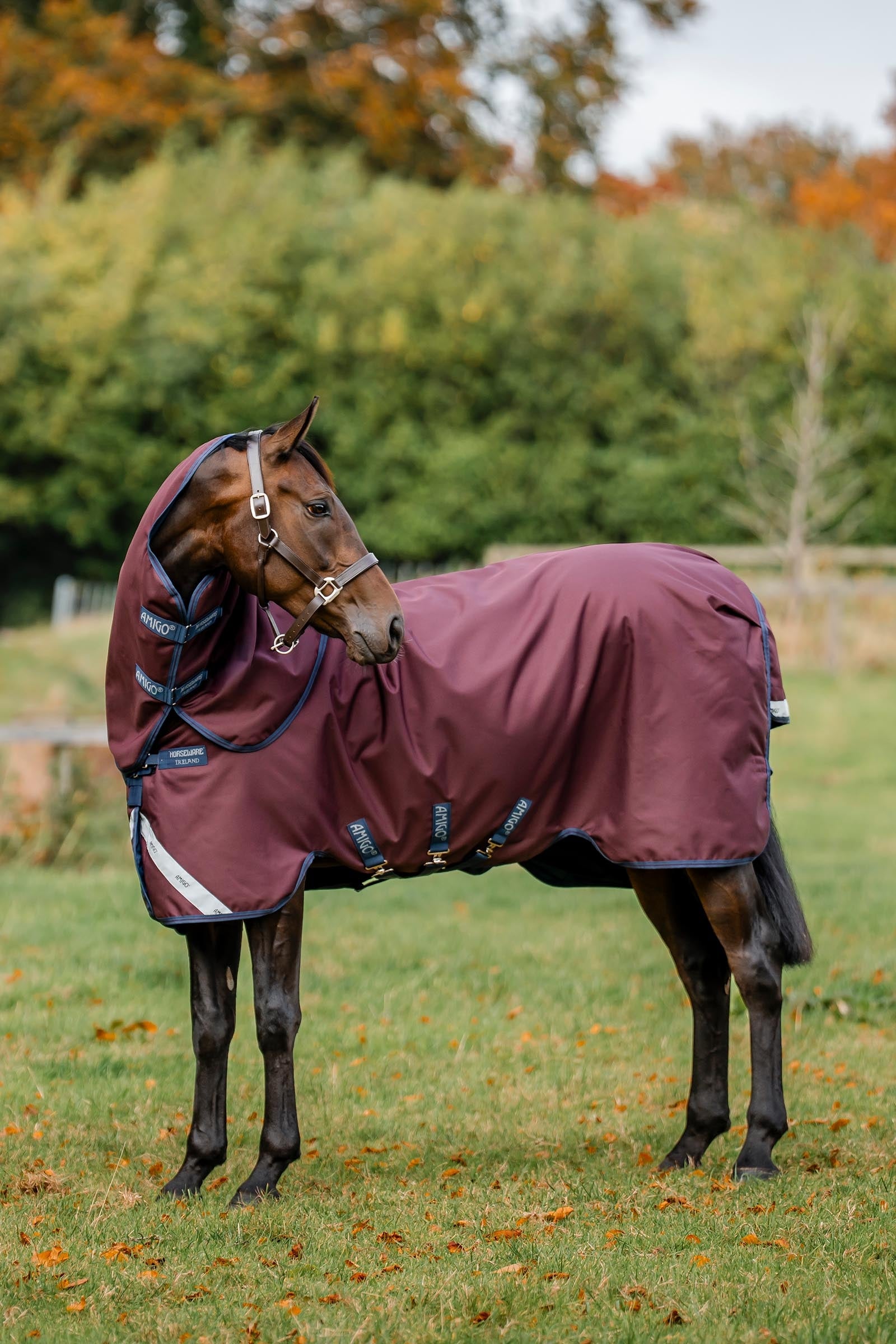 Horseware Amigo Bravo 12 Plus Turnout Rug With Detachable Neck, 0g Horse Rugs