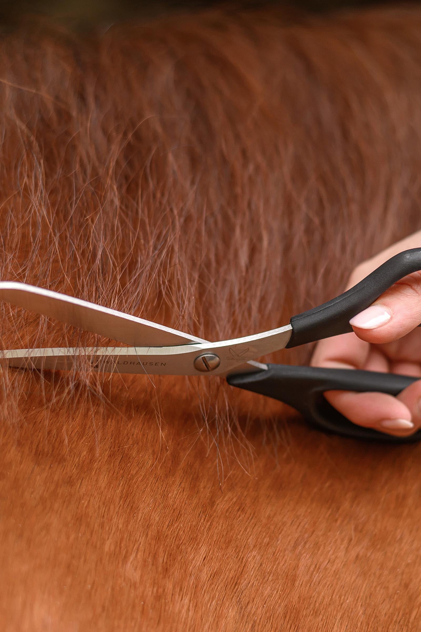 undefined Waldhausen Easy Cut Mane And Tail Scissors Horse Grooming Tools