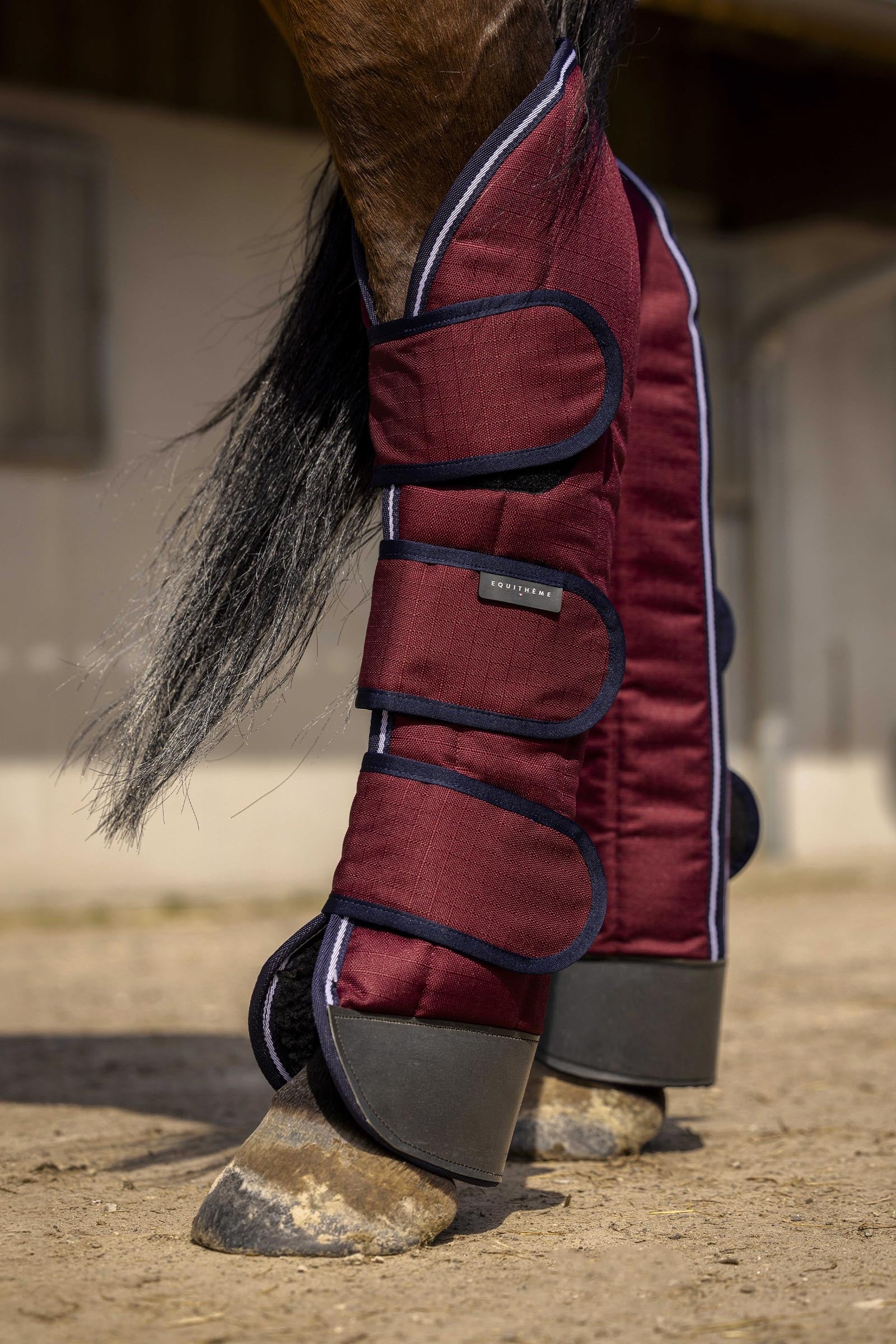 EQUITHÈME TYREX 1200D verstevigde transportbeschermers Leg & Hoof Protection