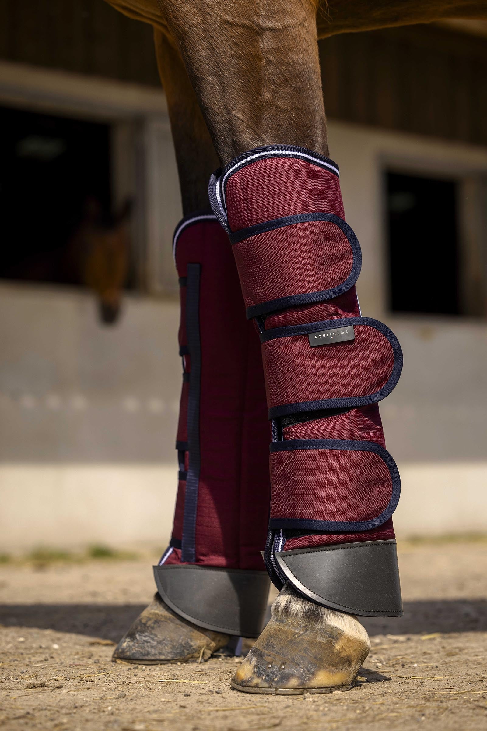 EQUITHÈME TYREX 1200D Reinforced Transport Boots Leg & Hoof Protection