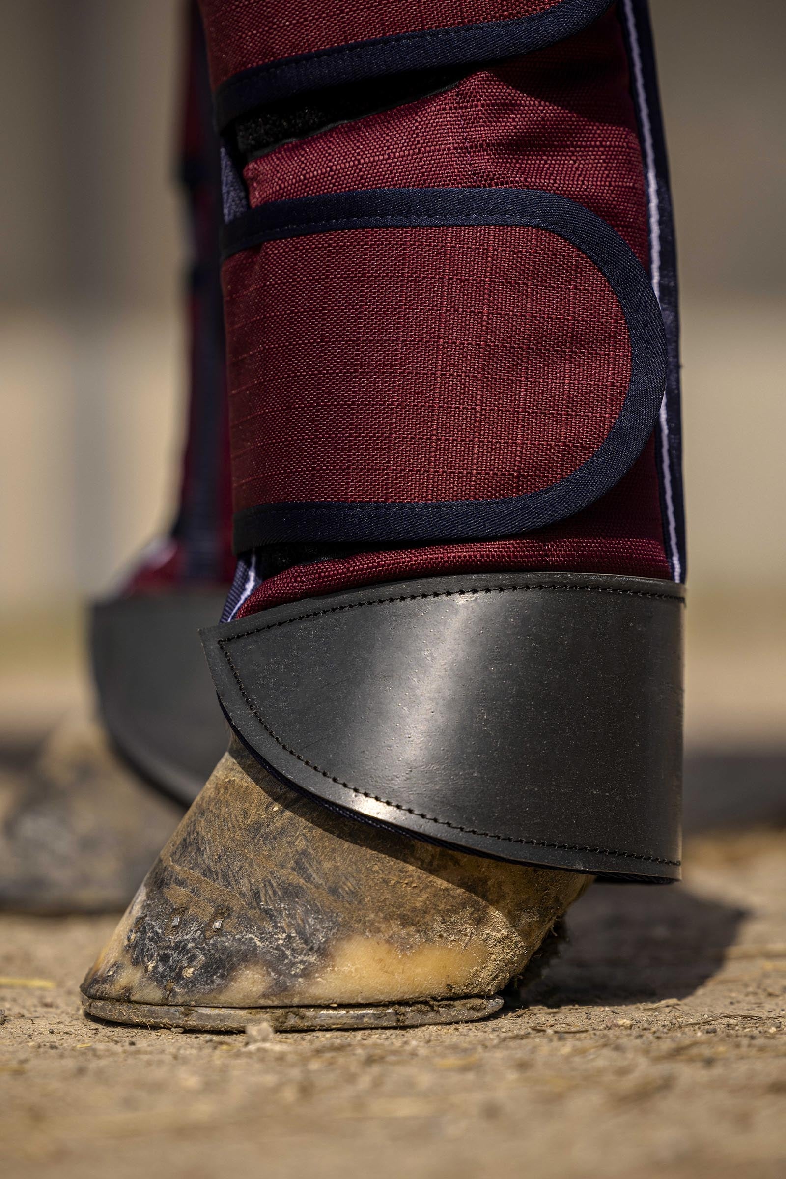 EQUITHÈME TYREX 1200D Reinforced Transport Boots Leg & Hoof Protection