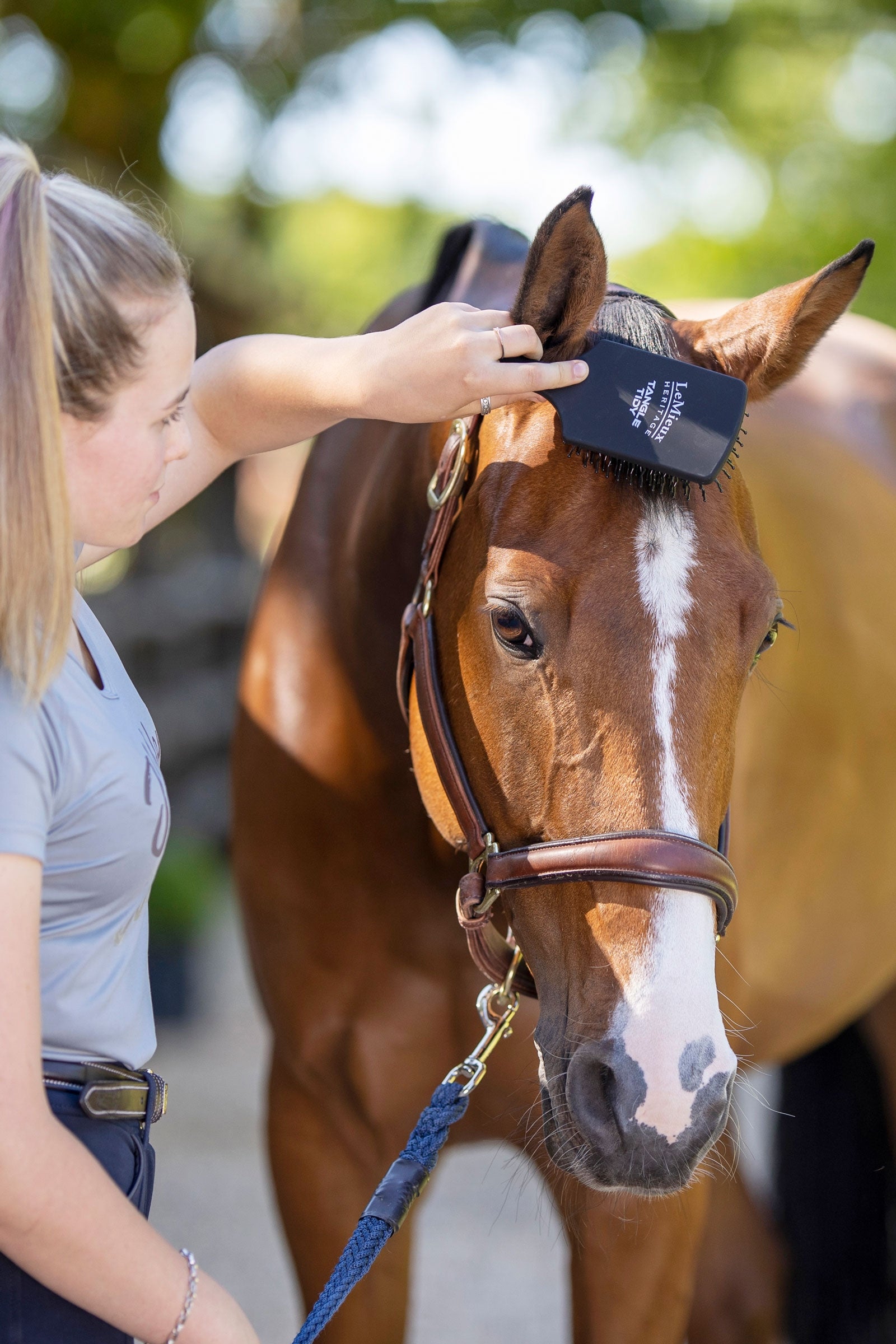 LeMieux Tangle Tidy Brush Horse Grooming Tools