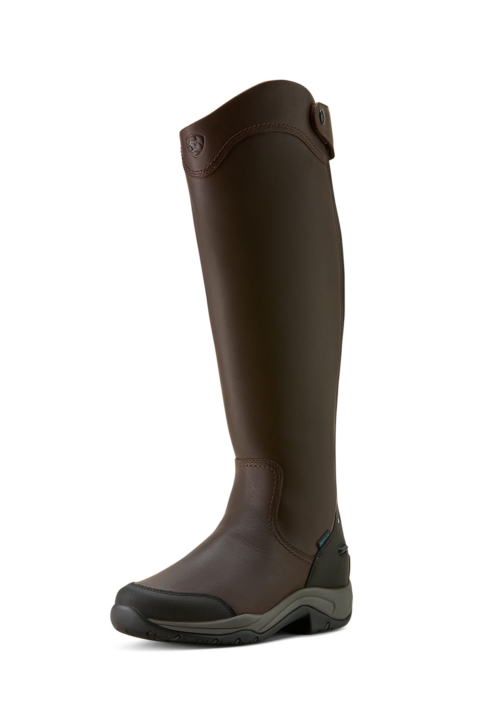 Ariat Telluride H2O dames hoge laarzen Paardrijlaarzen & chaps
