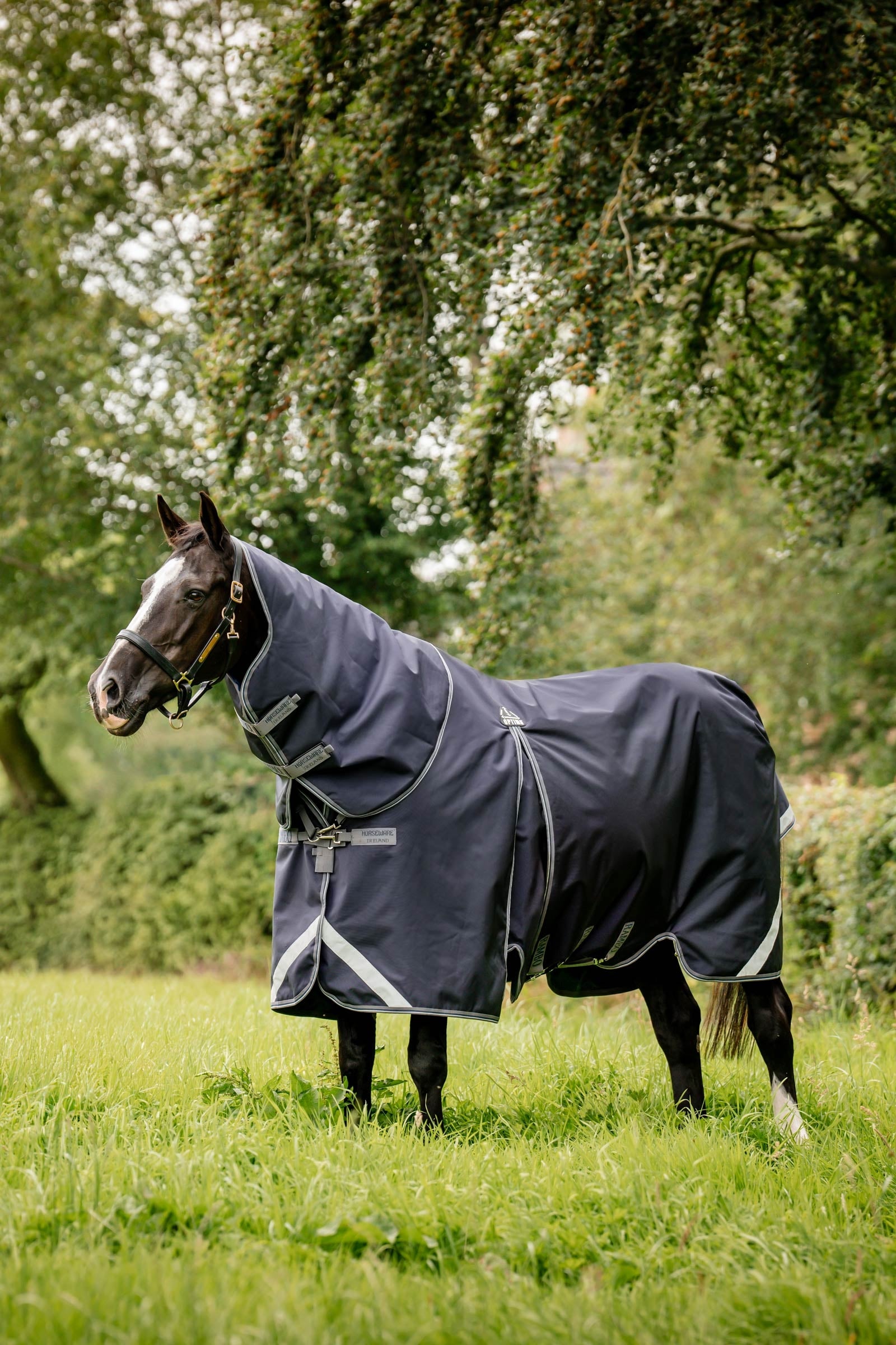 Horseware Rambo Optimo Plus Budle Weidedeken (met 200g Liner) Paardendekens