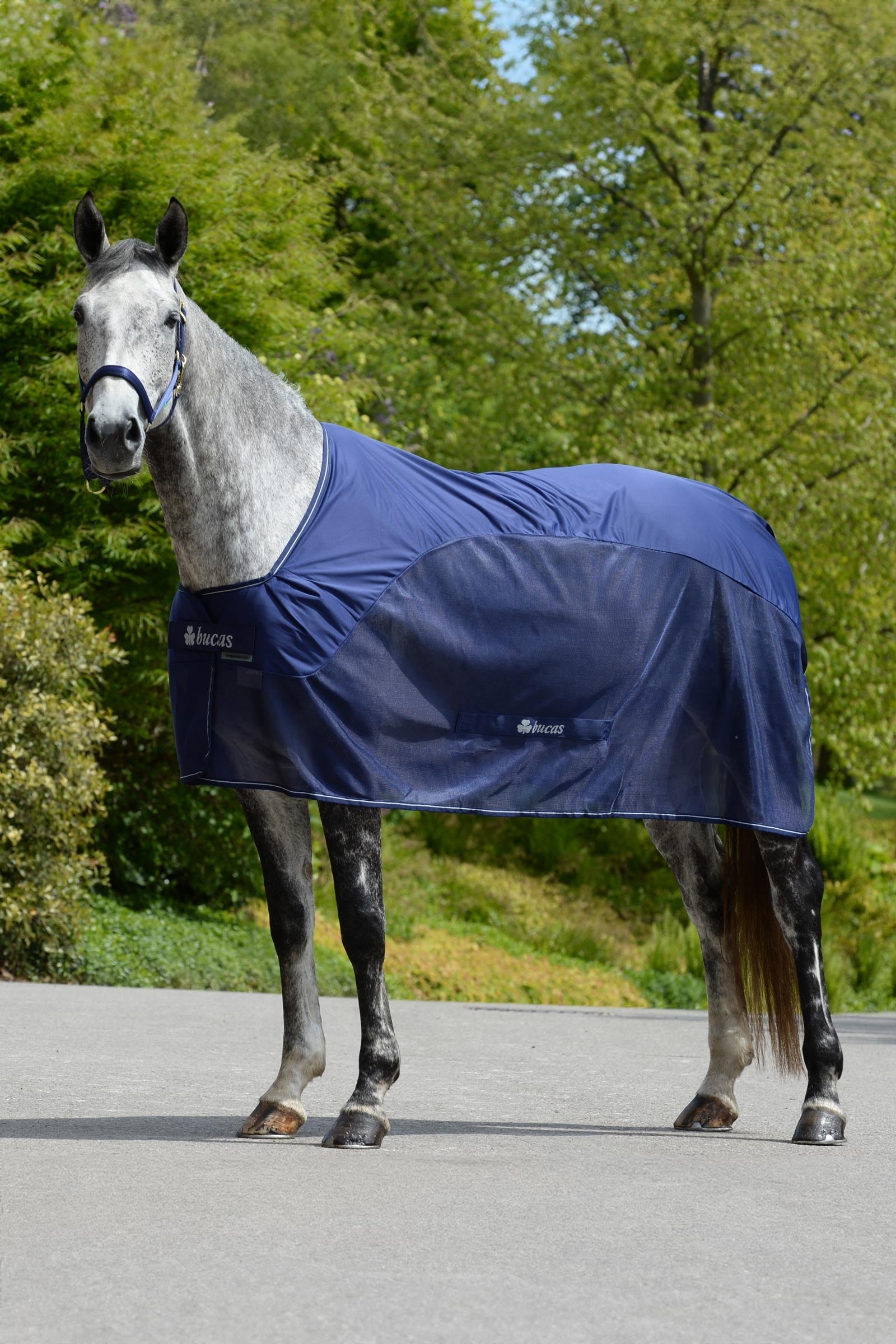 Bucas Competition Cooler Paardendekens