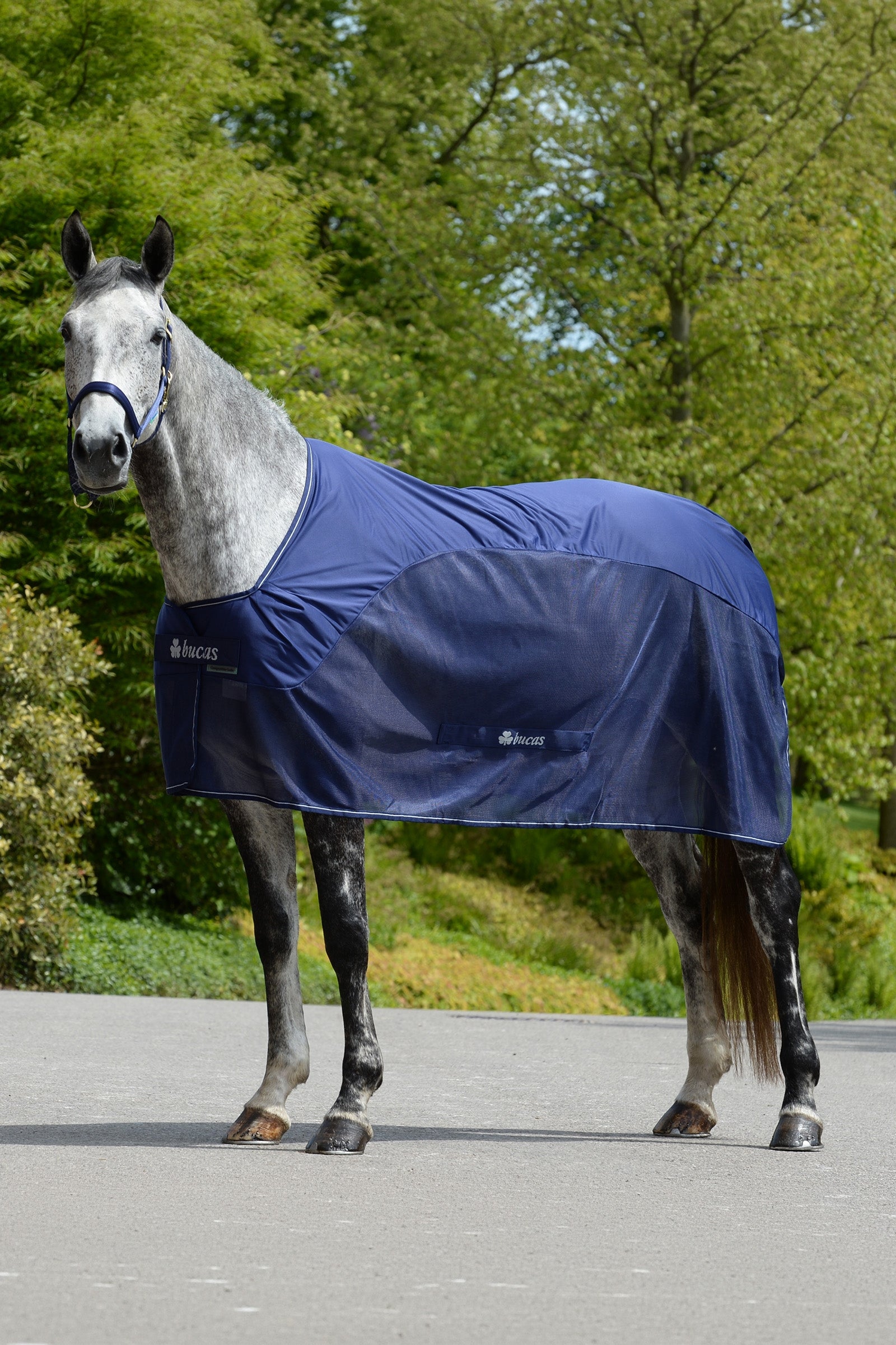 Bucas Competition Cooler Horse Rugs