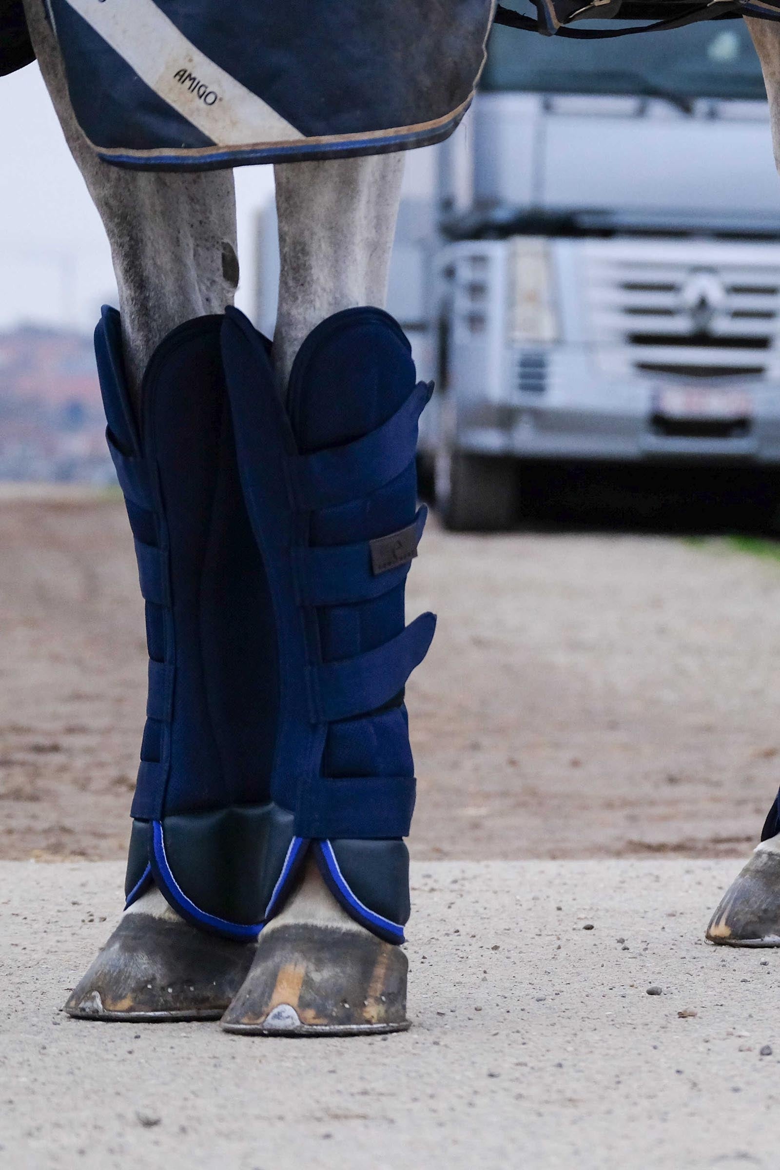Equi Theme EQUITHÈME Classic Transport Boots Leg & Hoof Protection