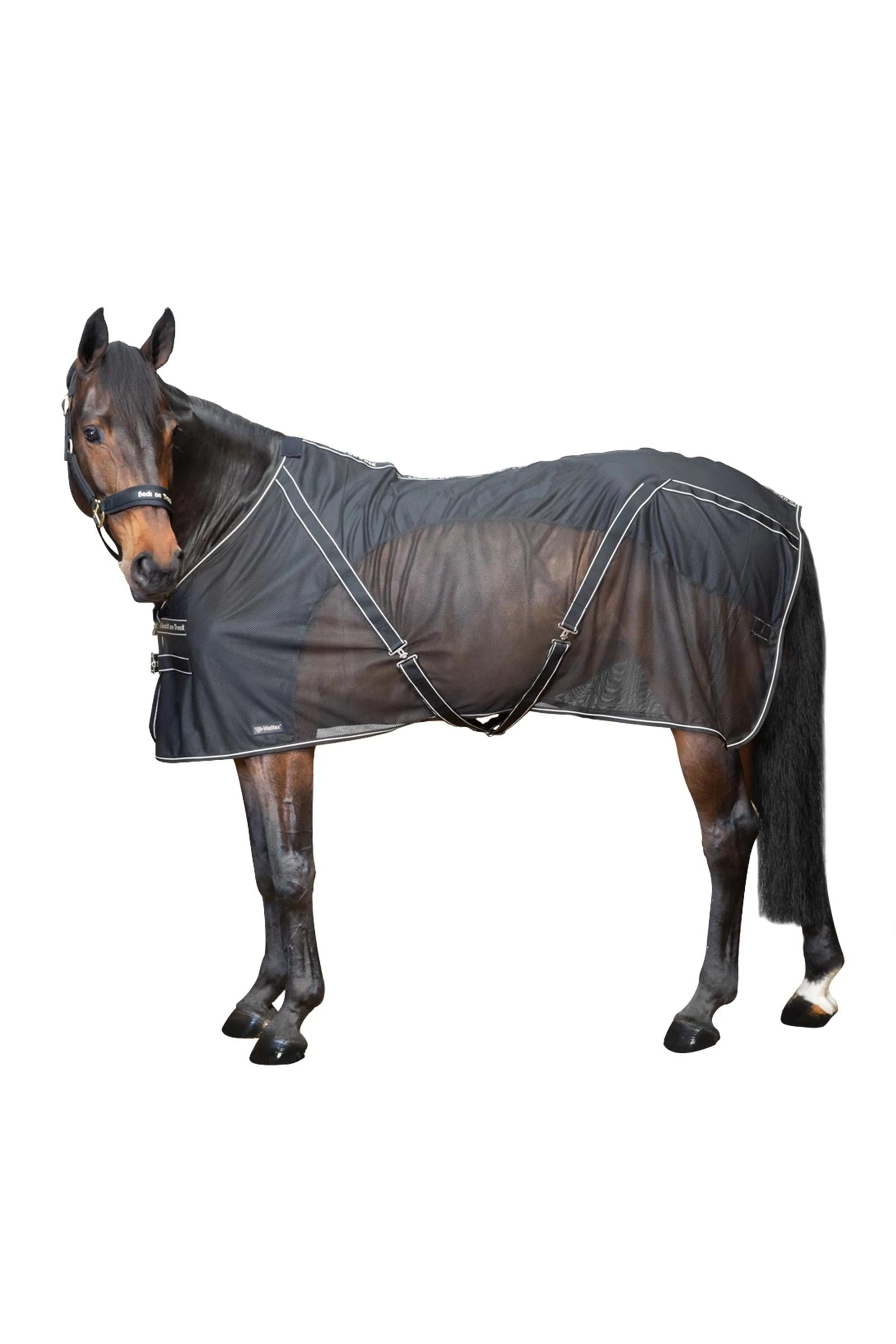 Back on Track Sienna Cooler Paardendekens