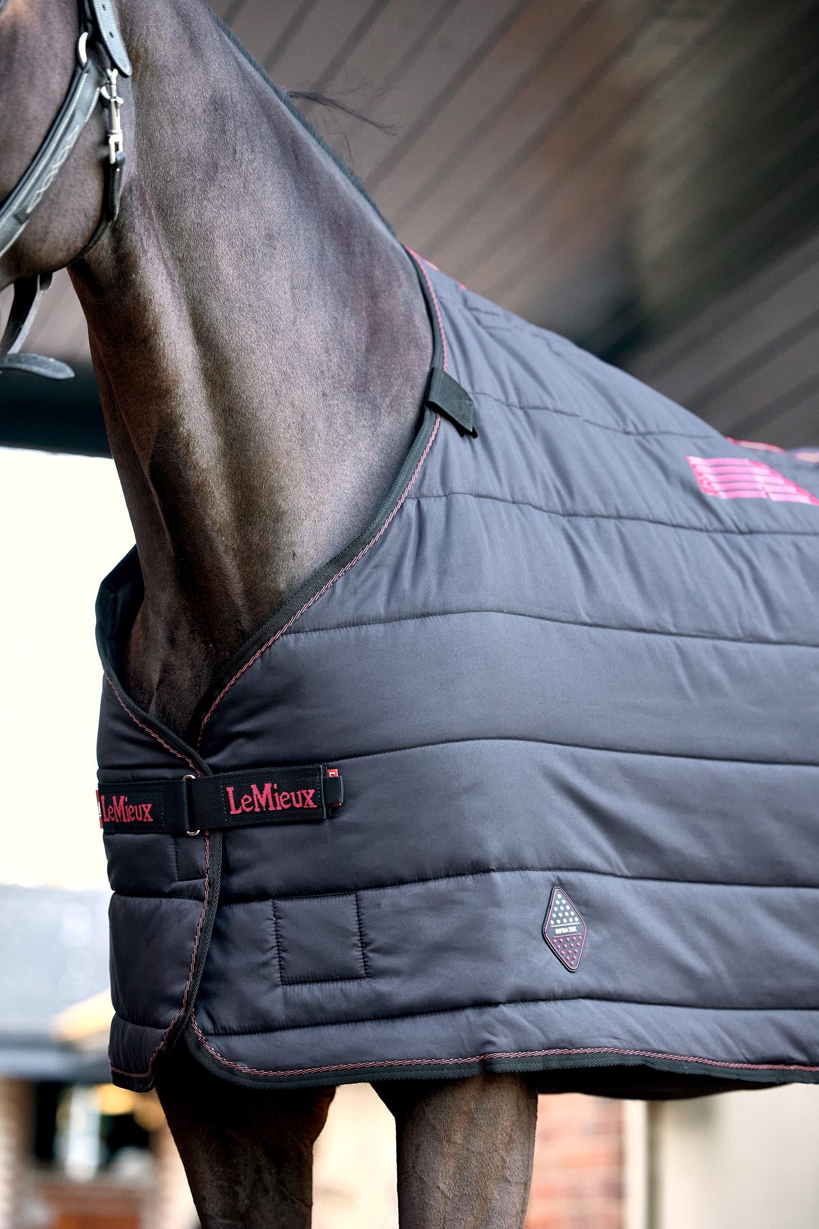 LeMieux InfraTek Therapy Liner, 100 g Horse Rugs