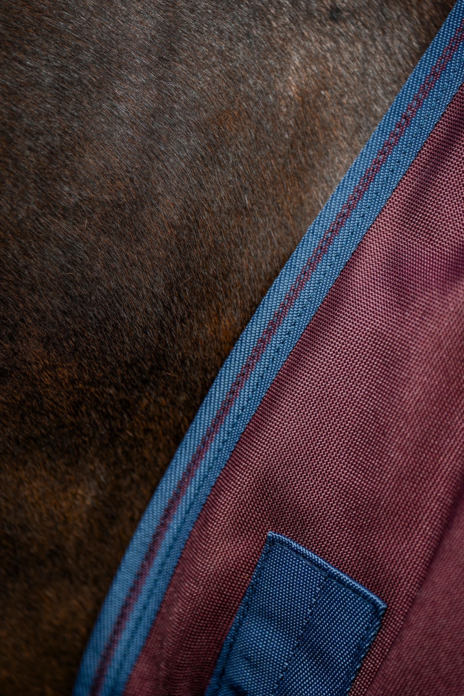 Horseware Amigo 1200D Plus Turnout Rug, 50 g Horse Rugs