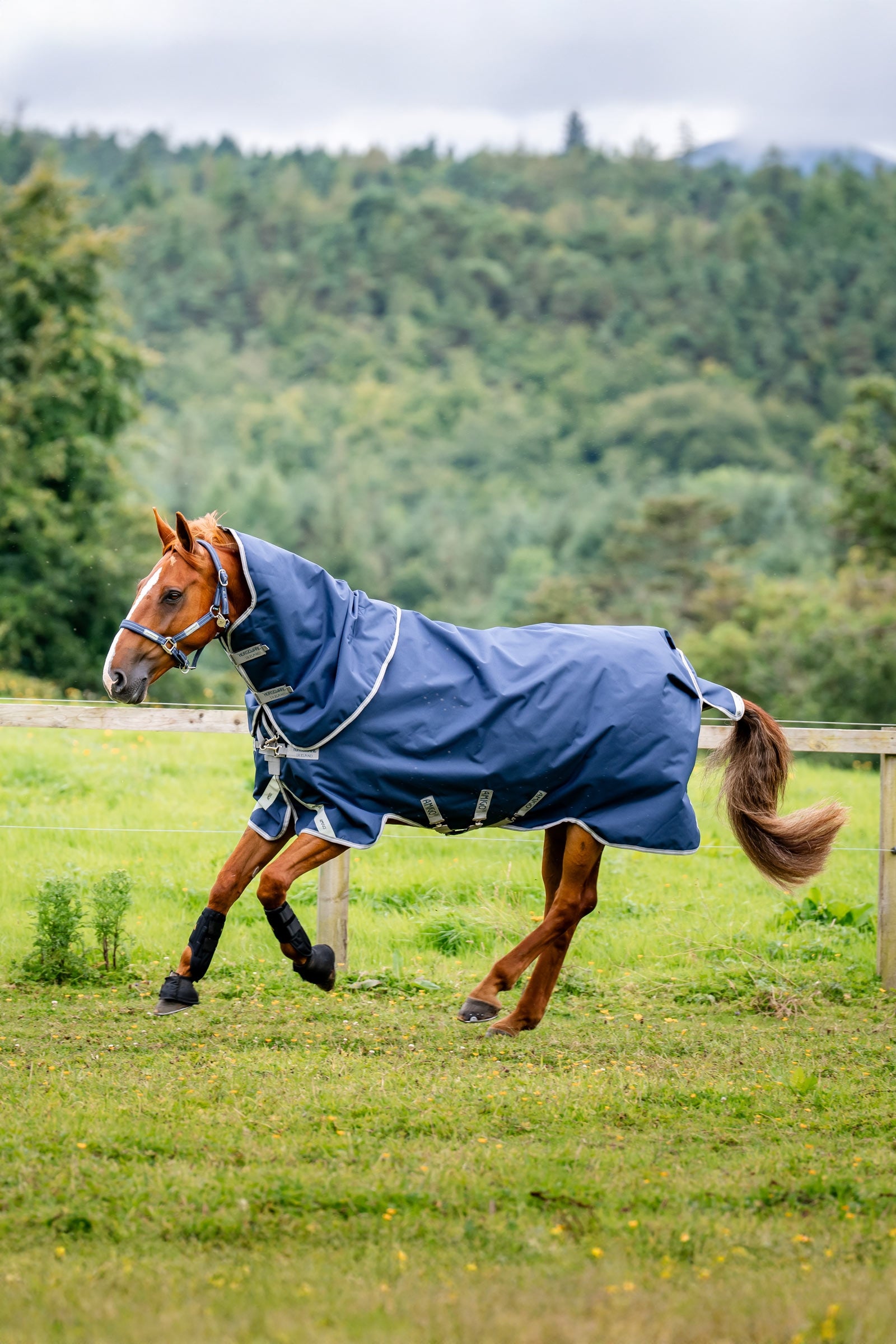 Horseware Amigo 1200D Plus regendeken, 50 g Paardendekens