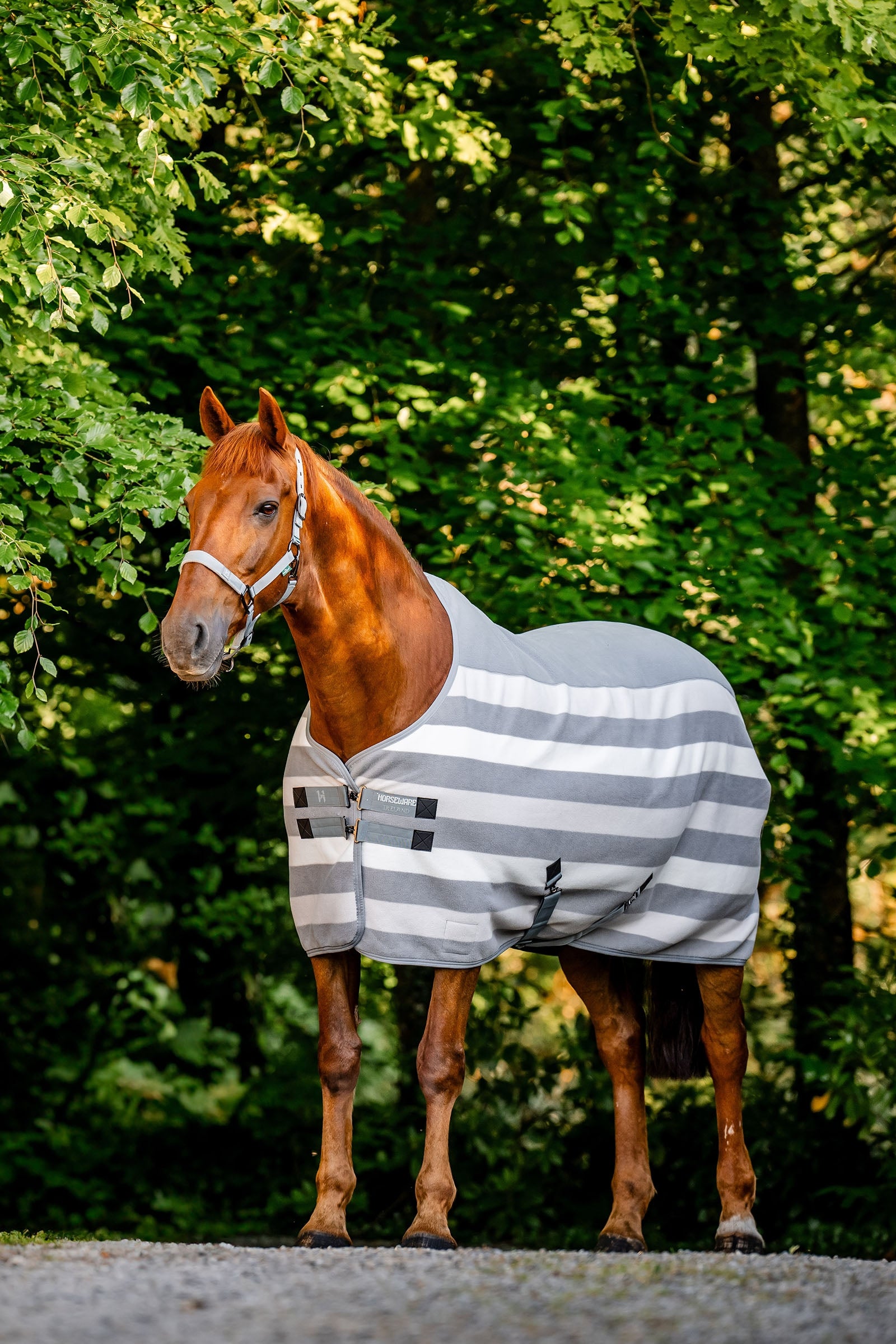Horseware Newmarket Fleece Cooler deken Paardendekens
