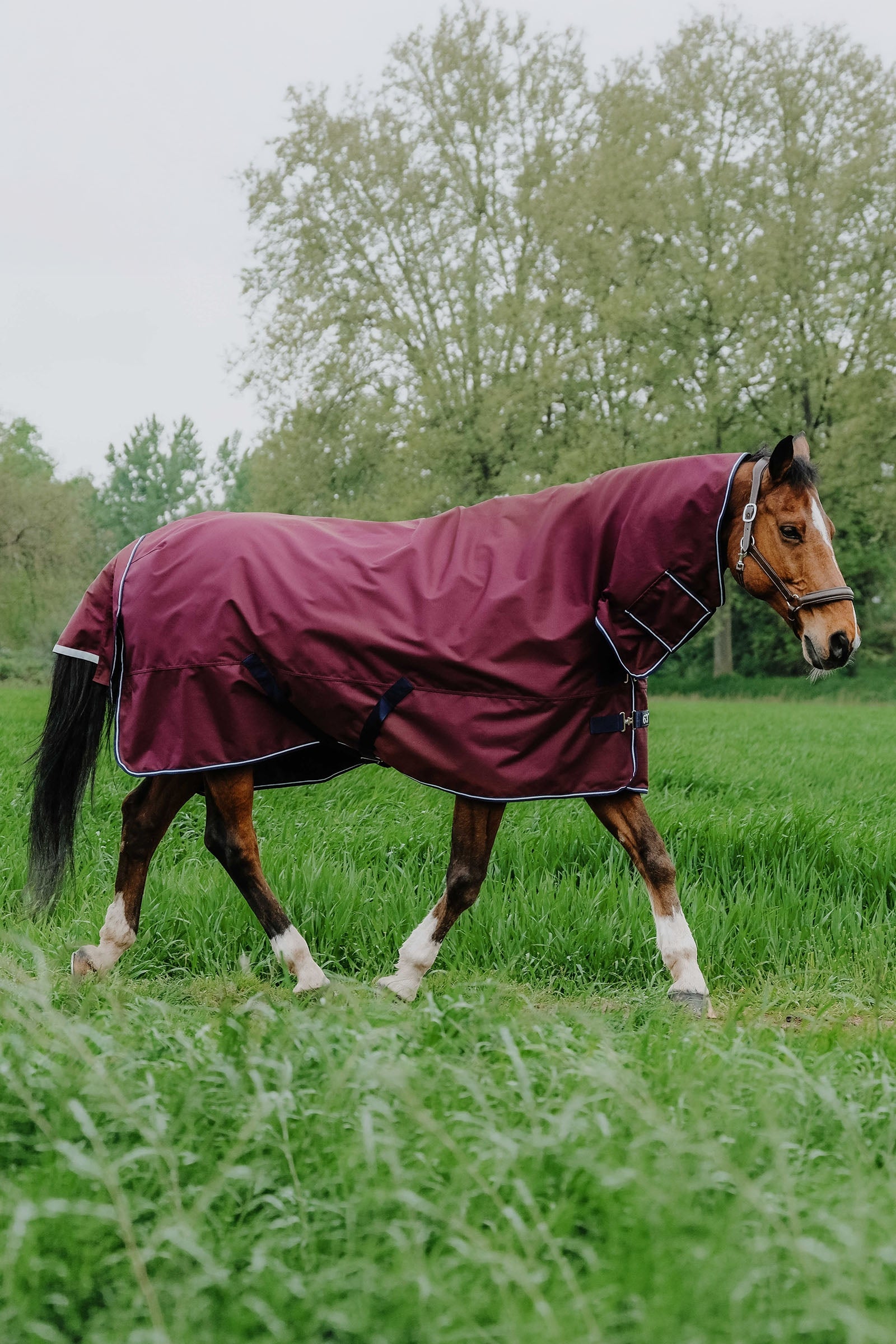 EQUITHÈME TYREX 1200D combideken, 350 g Paardendekens