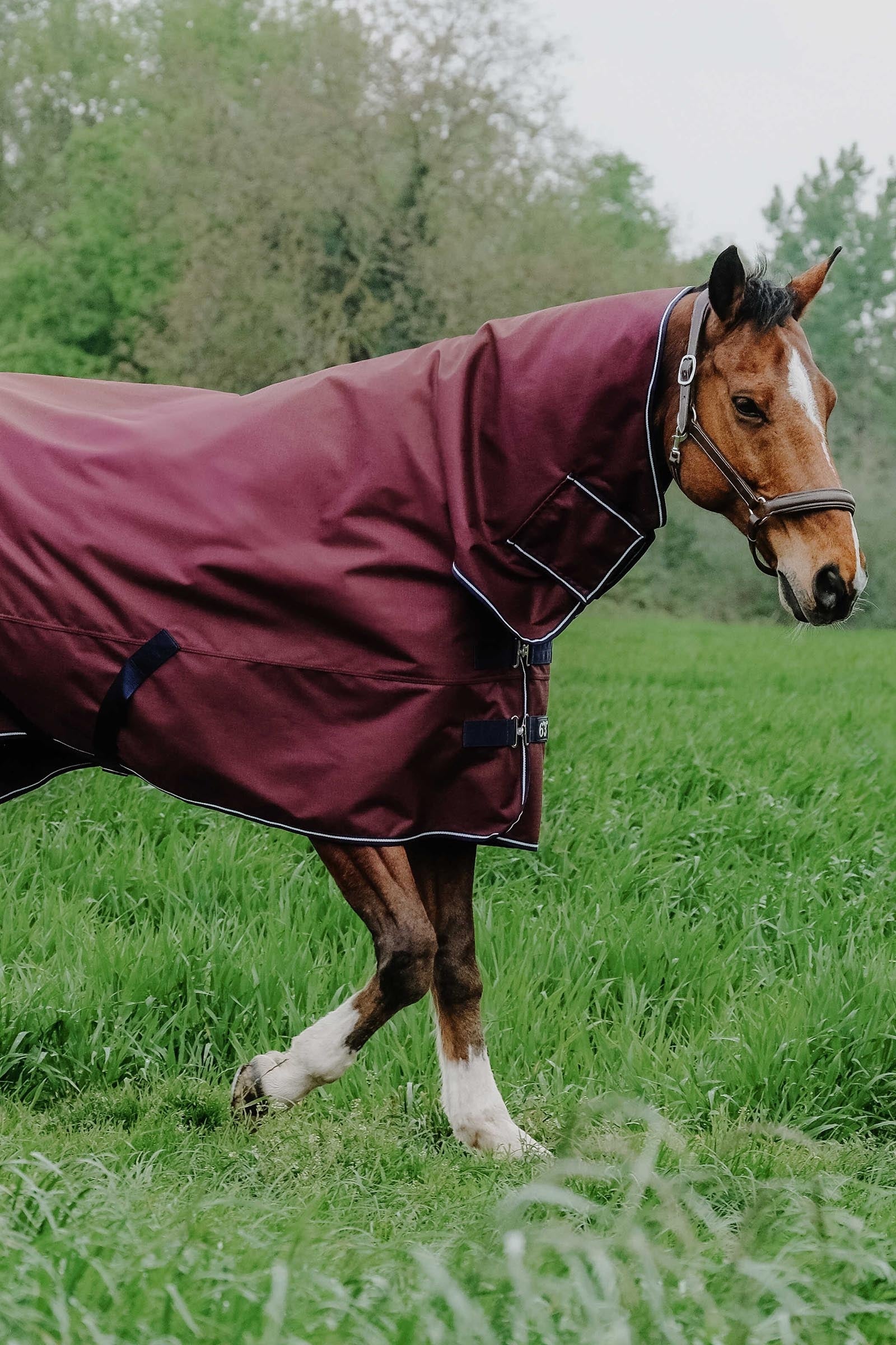 EQUITHÈME TYREX 1200D Combo Rug, 350 g Horse Rugs
