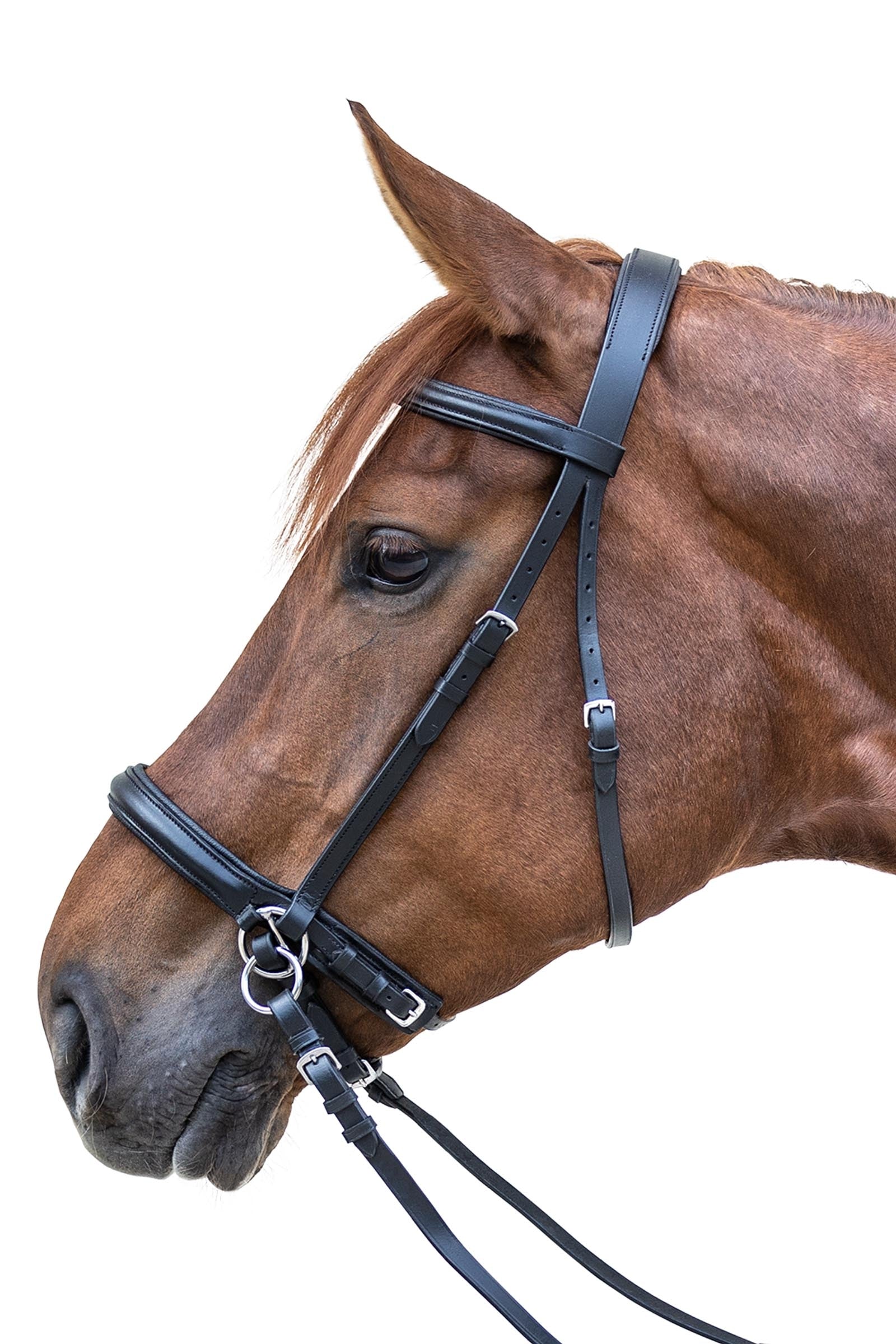 Star STAR Bitloze Hoofdstel Hoofdstellen & Teugels
