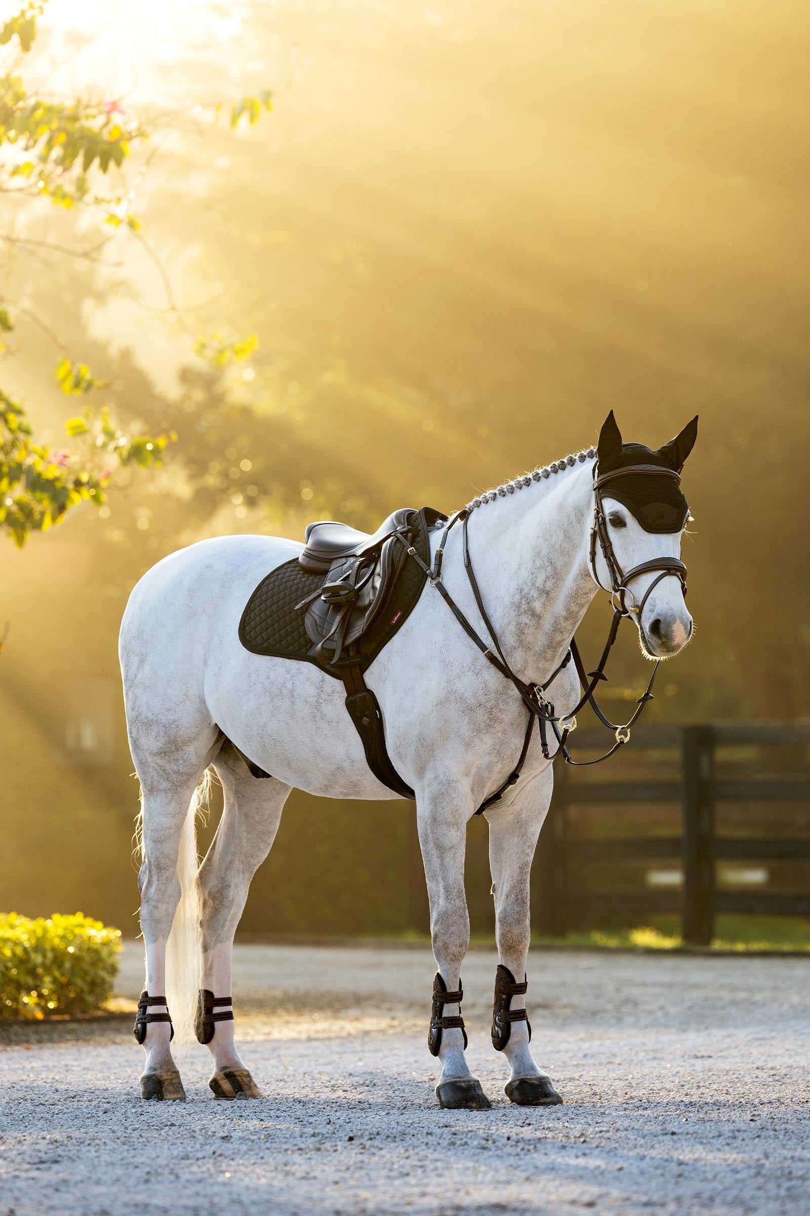 LeMieux Brilliance Close Contact Square Saddle Pads