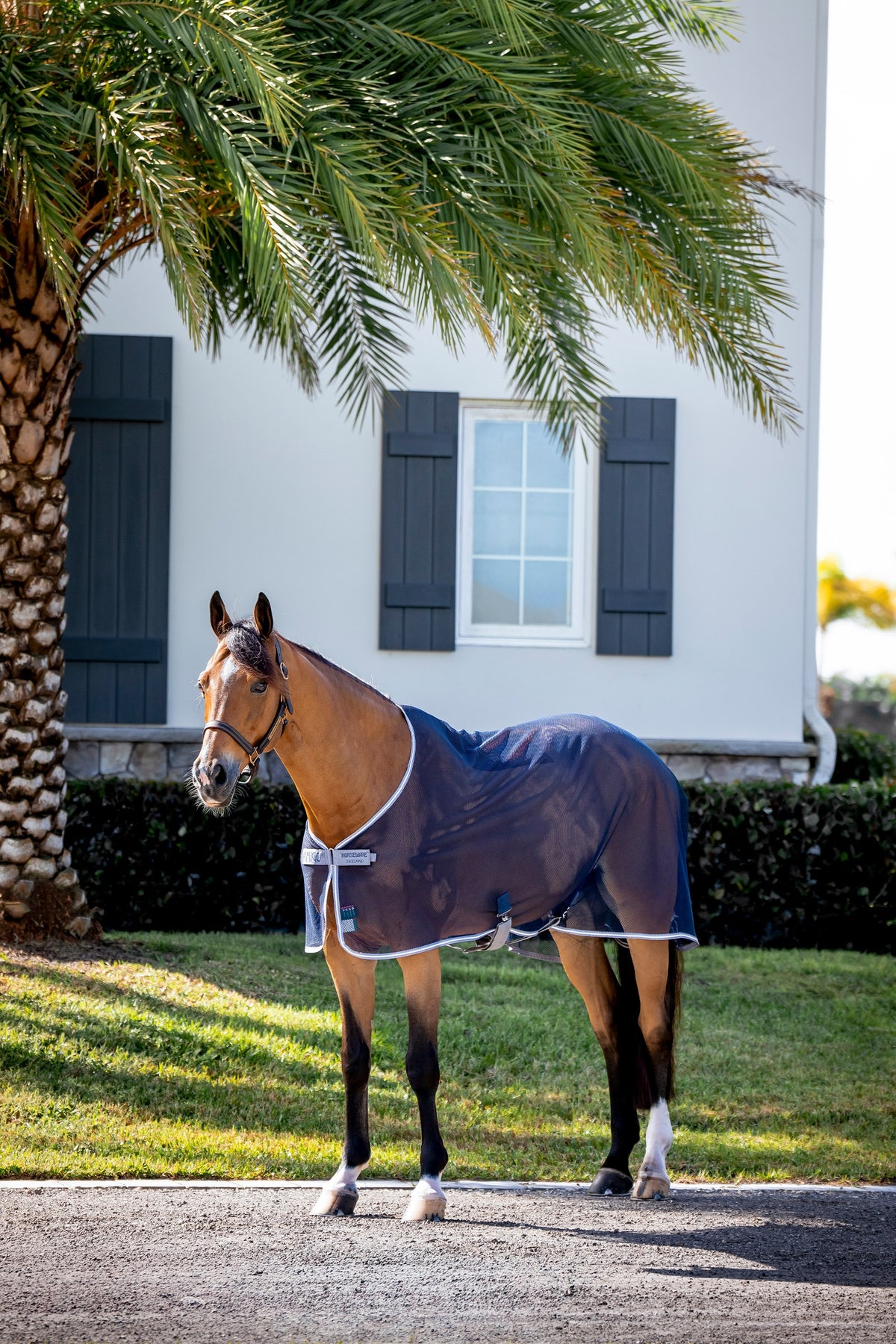 Horseware Amigo Net Cooler Horse Rugs