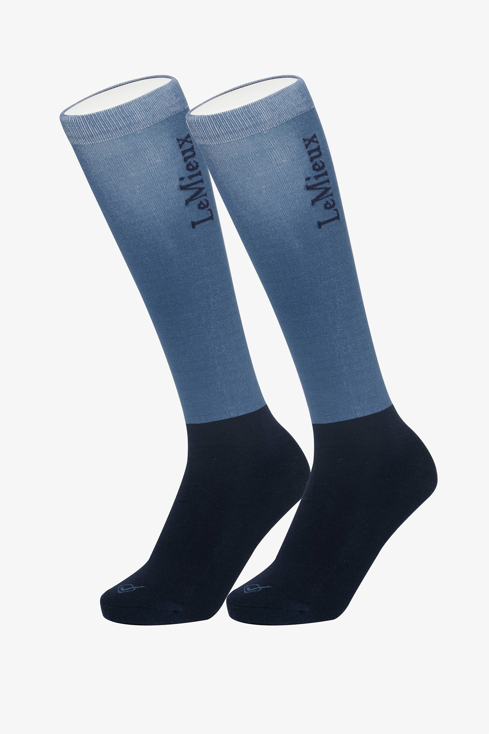 Alt Tag fallback text for IMAGE