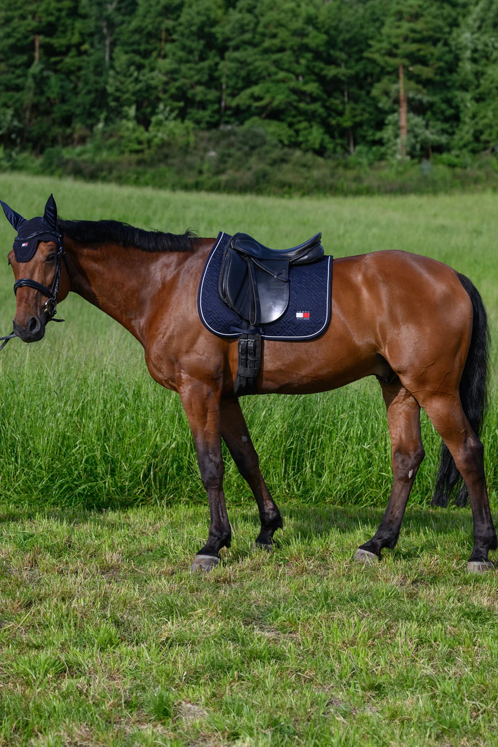 Tommy Hilfiger Equestrian Harvard Dressage Saddlepad Saddle Pads