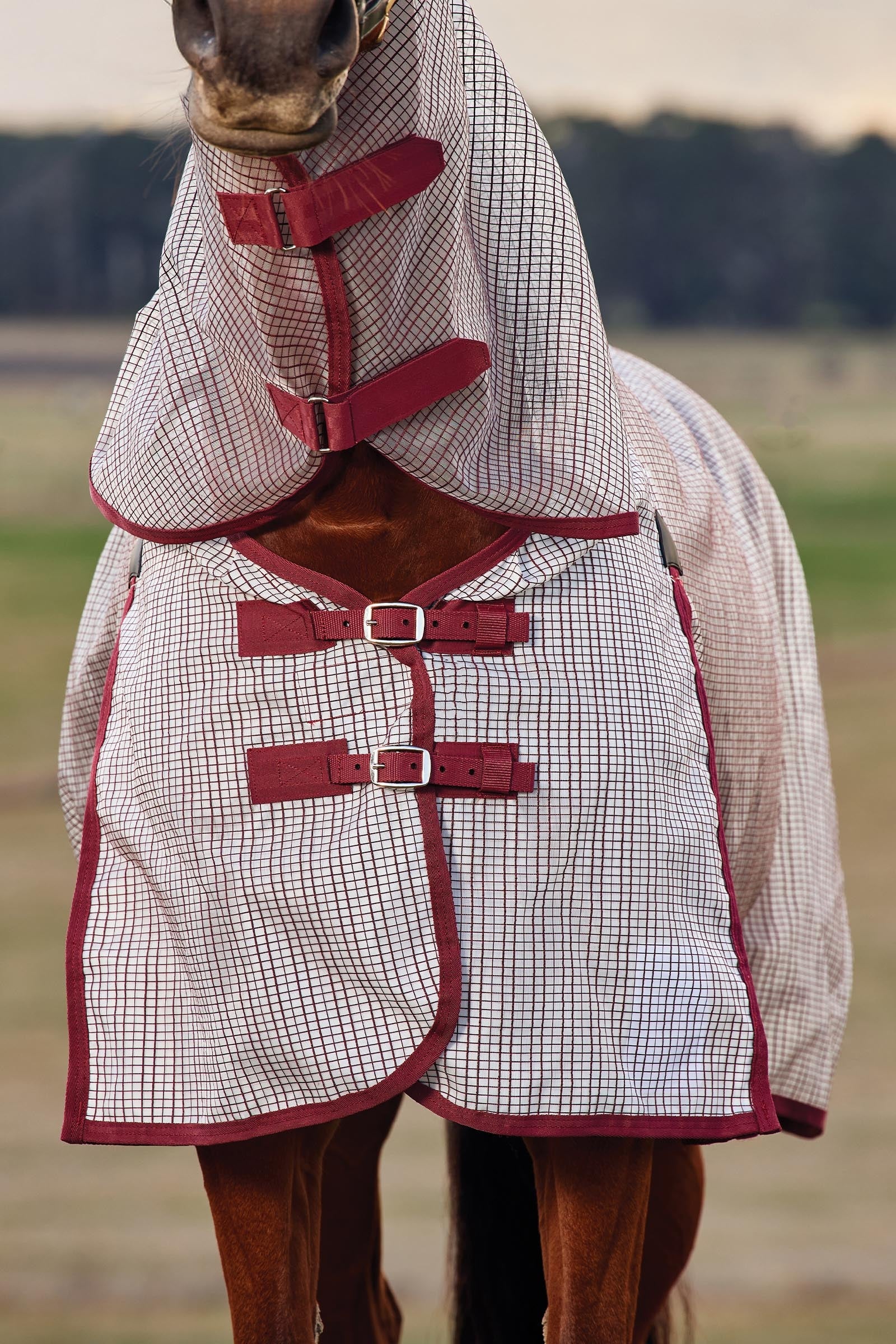 Weatherbeeta Comfitec Ripshield Fly Sheet Detach-a-Neck, 0g Horse Rugs