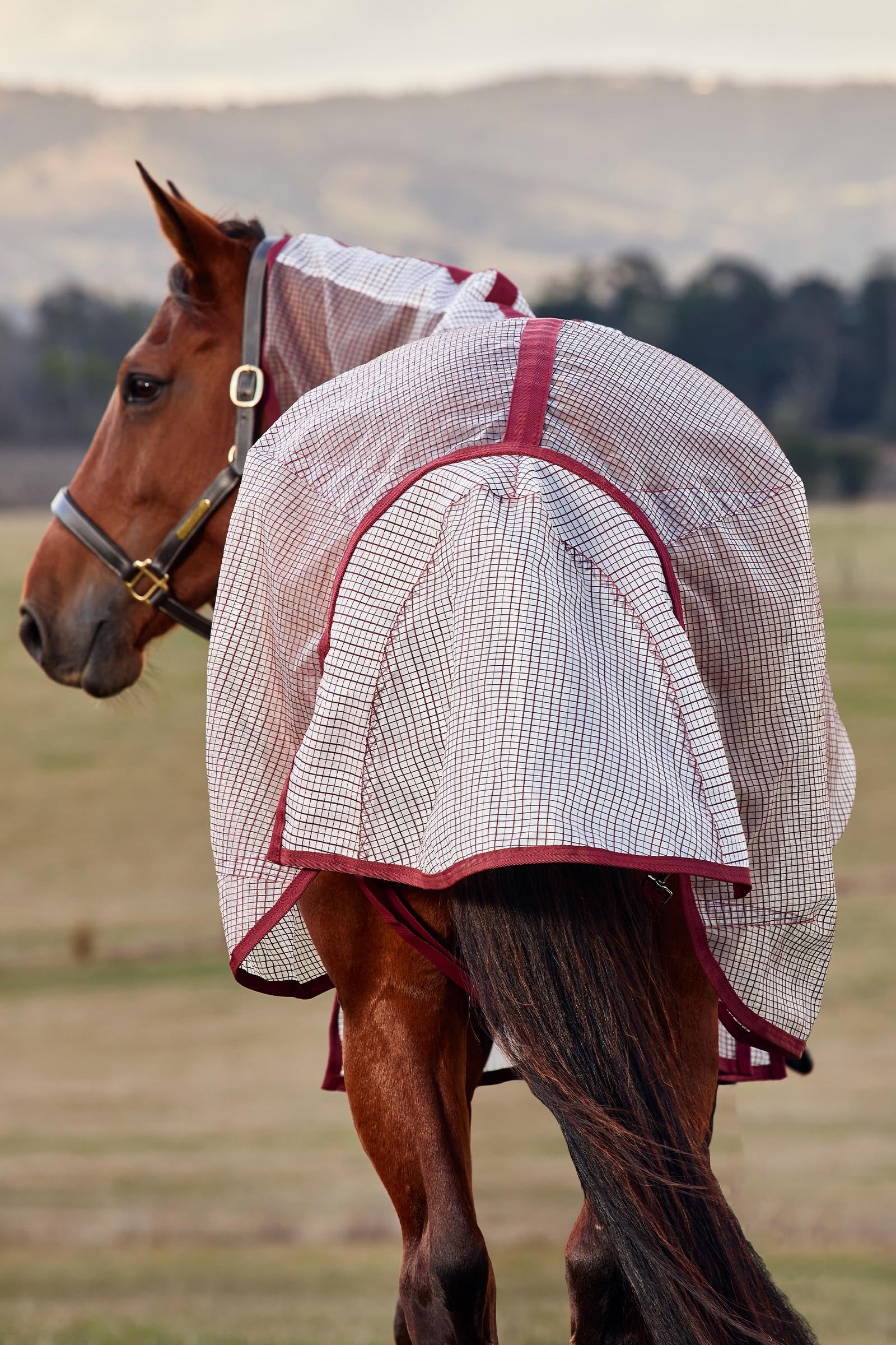 Weatherbeeta Comfitec Ripshield Fly Sheet Detach-a-Neck, 0g Horse Rugs
