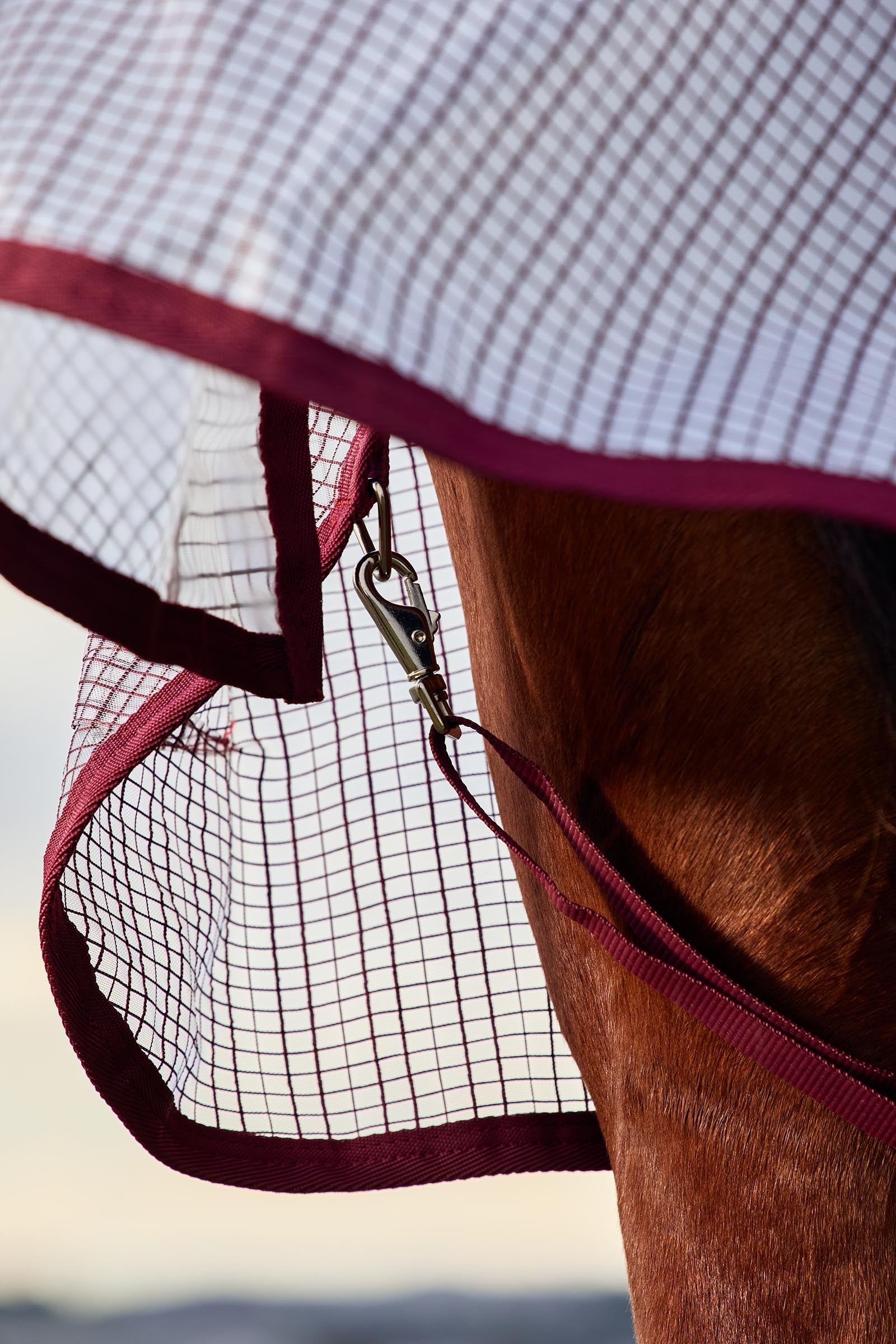 Weatherbeeta Comfitec Ripshield Fly Sheet Detach-a-Neck, 0g Horse Rugs