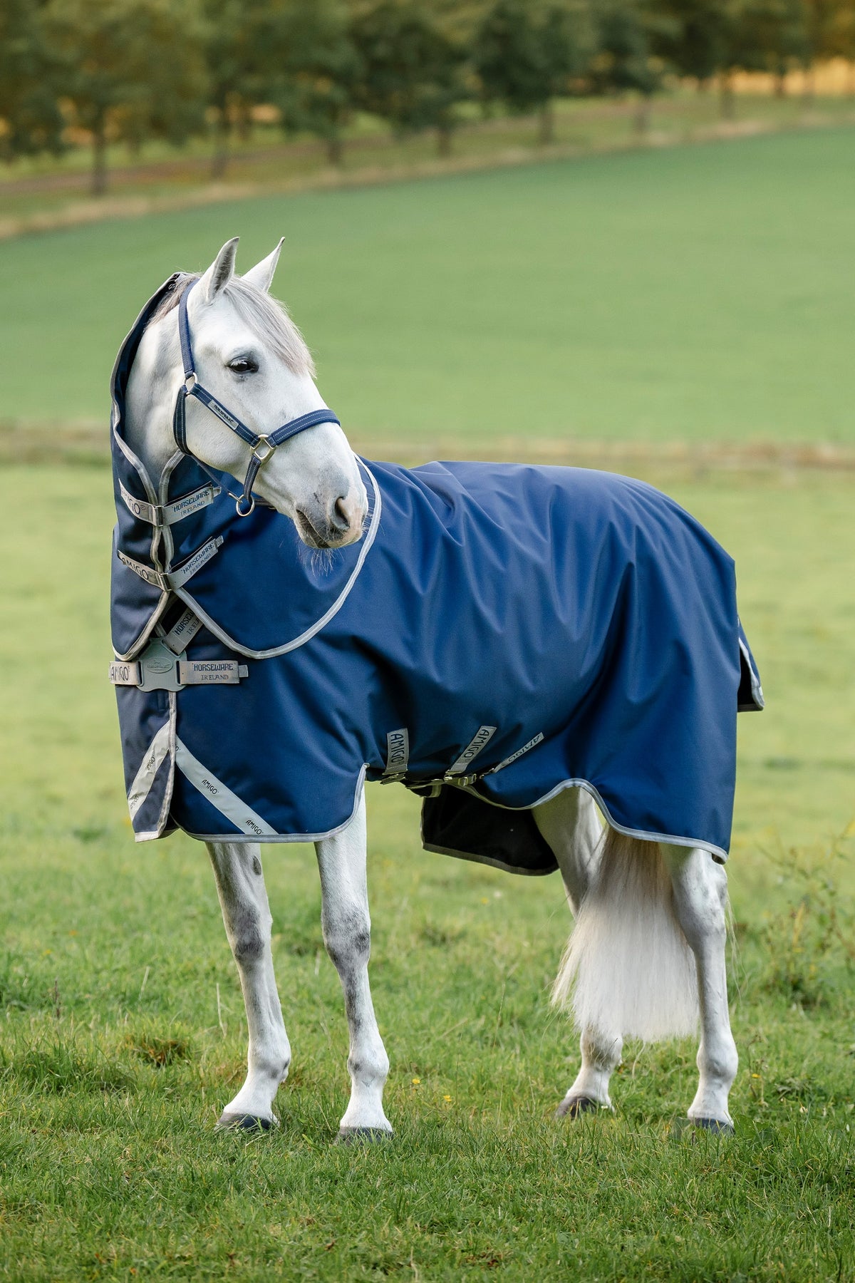 Horseware Amigo 1200D FieldSafe Plus outdoordeken met afneembaar halsteil, 50 g Paardendekens