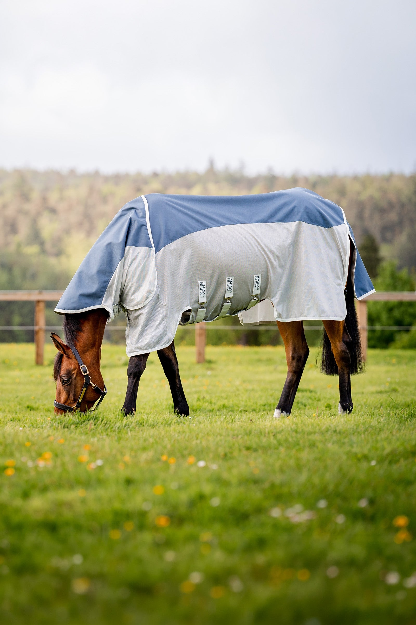 Horseware Amigo AmEco Combi Fly Rug Horse Rugs