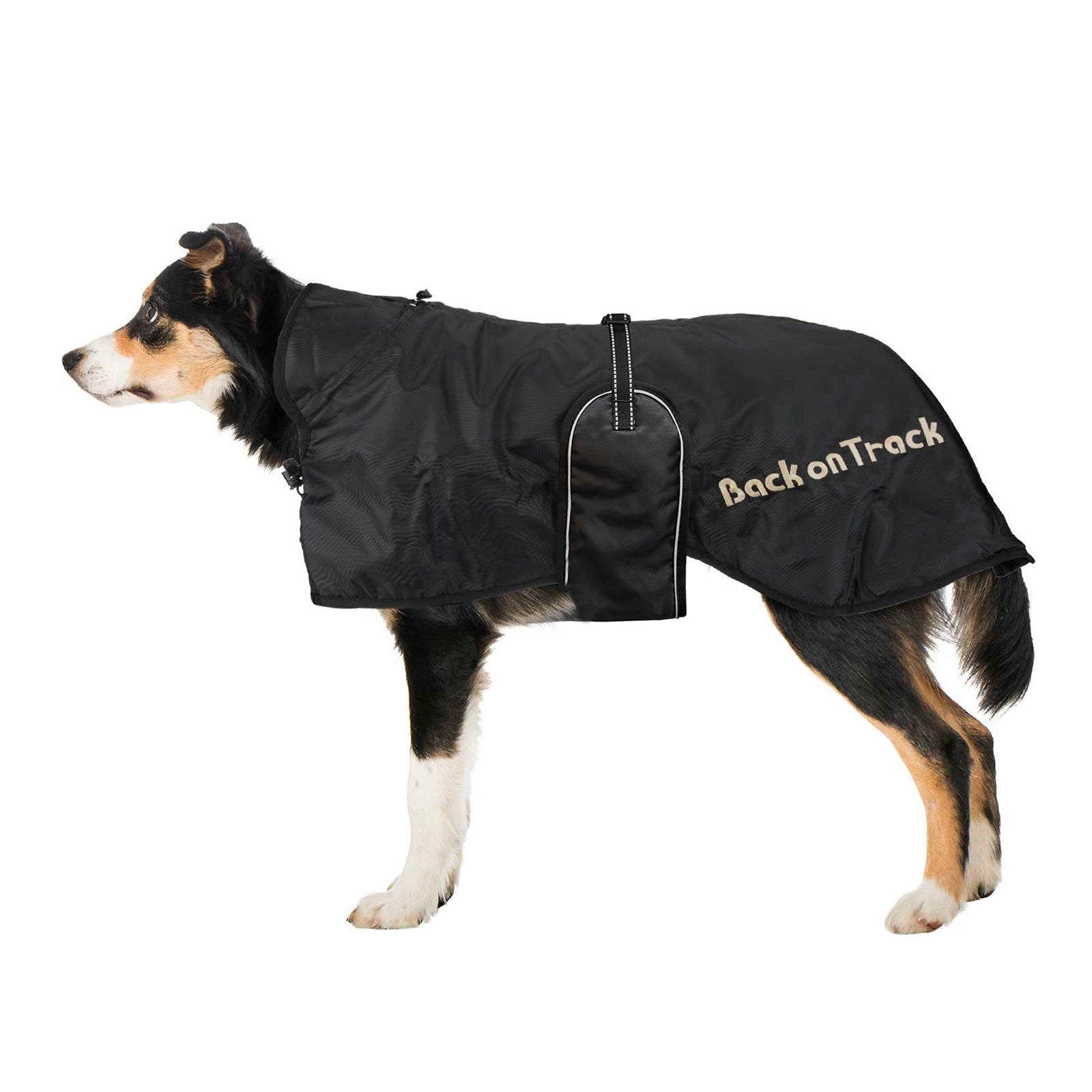 Back on Track Dog Rug 43-59 Dog Accesories
