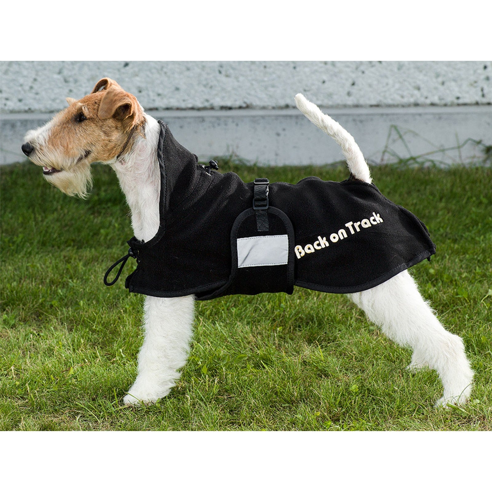 Back on Track Dog Rug Fleece, 21-34 Dog Accesories
