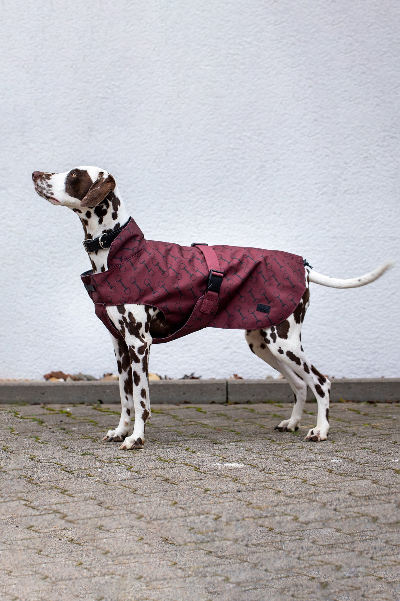 Horze Noir Hondendeken met print Hond