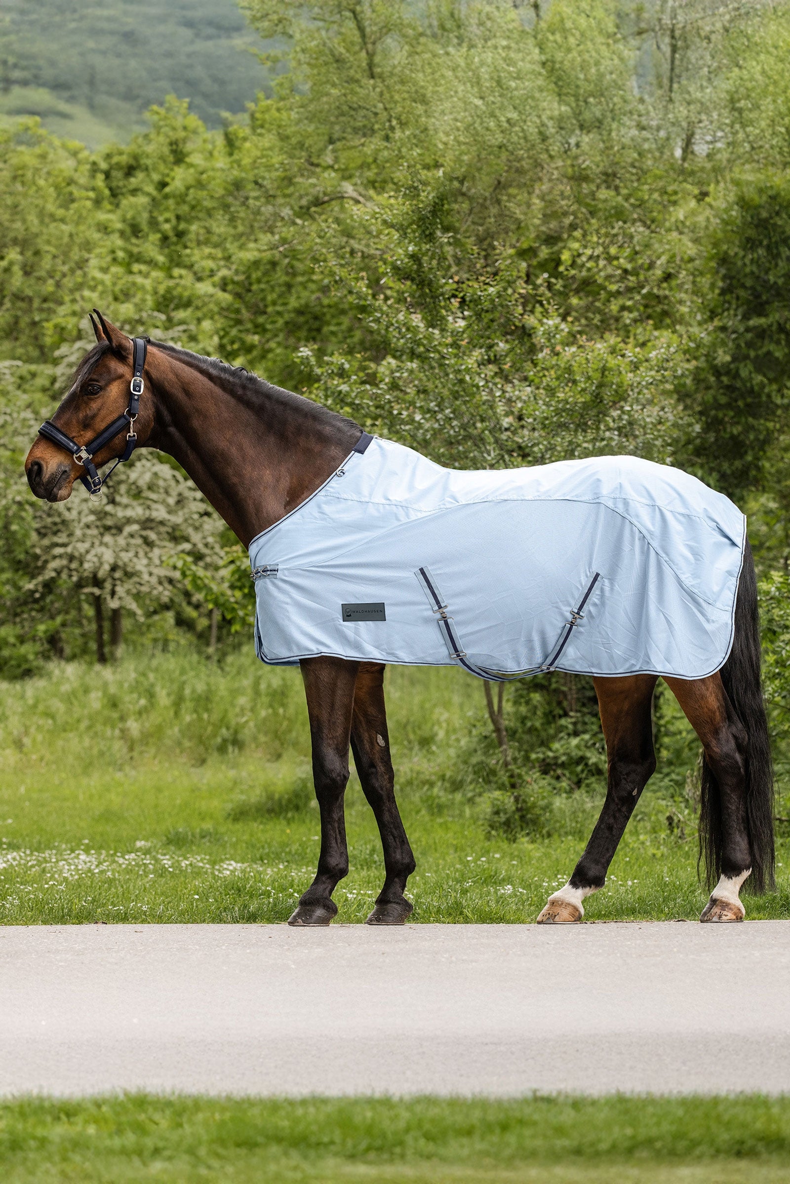 Waldhausen Protect vliegendeken met regendek Paardendekens