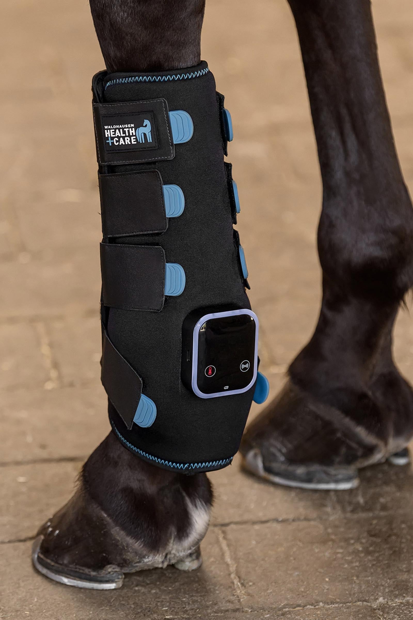 Waldhausen Health + Care Tec Supreme Tendon Boots Leg & Hoof Protection