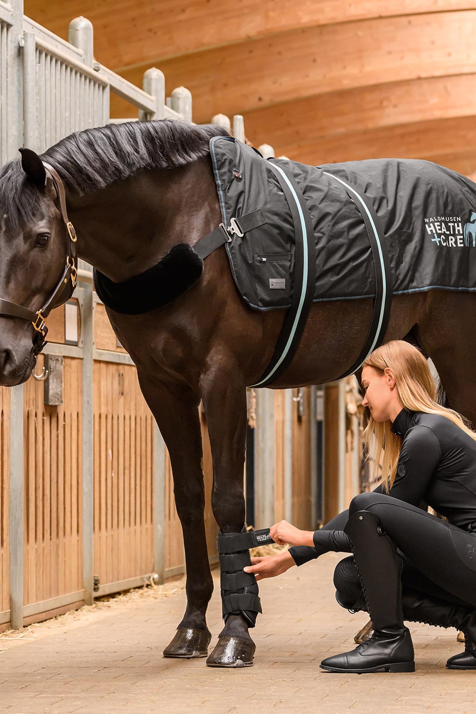 Waldhausen Health + Care Tec Supreme Tendon Boots Leg & Hoof Protection