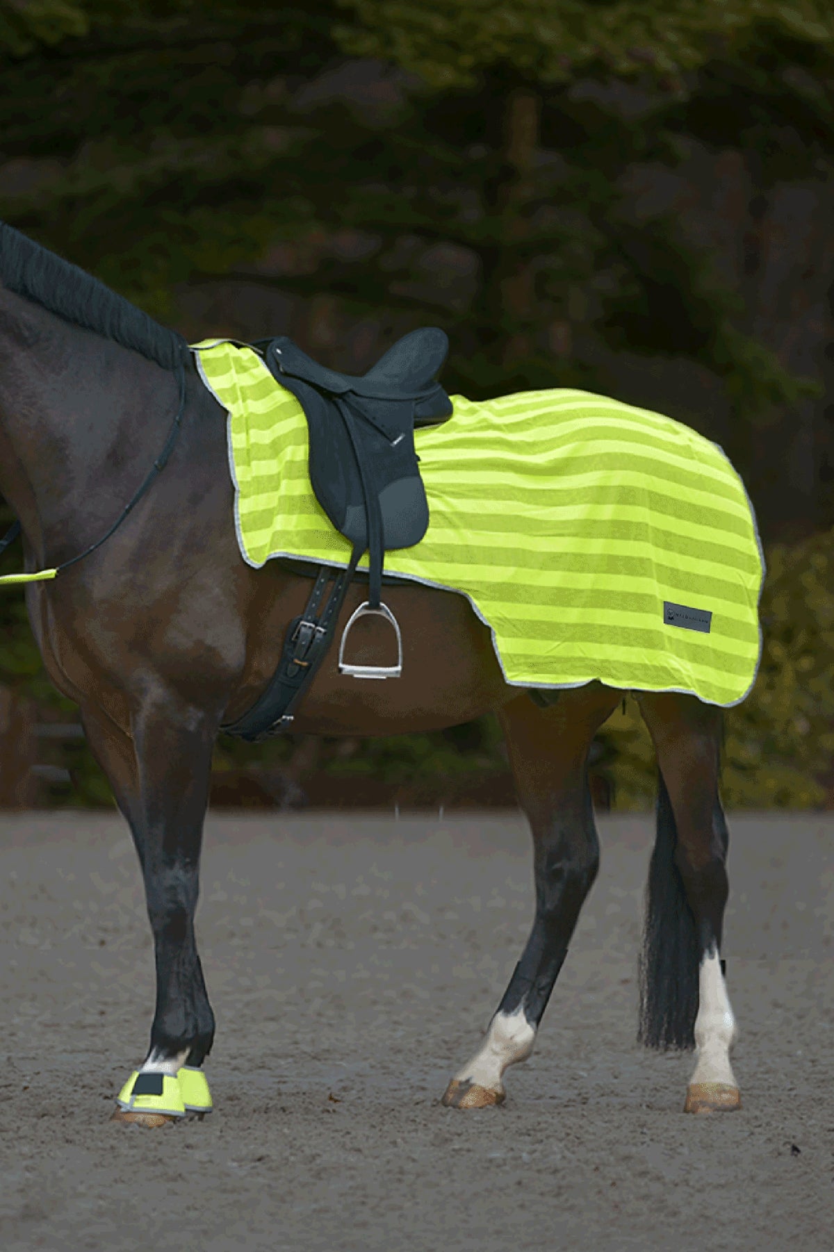 Waldhausen REFLEX Trainingsdeken Reflective