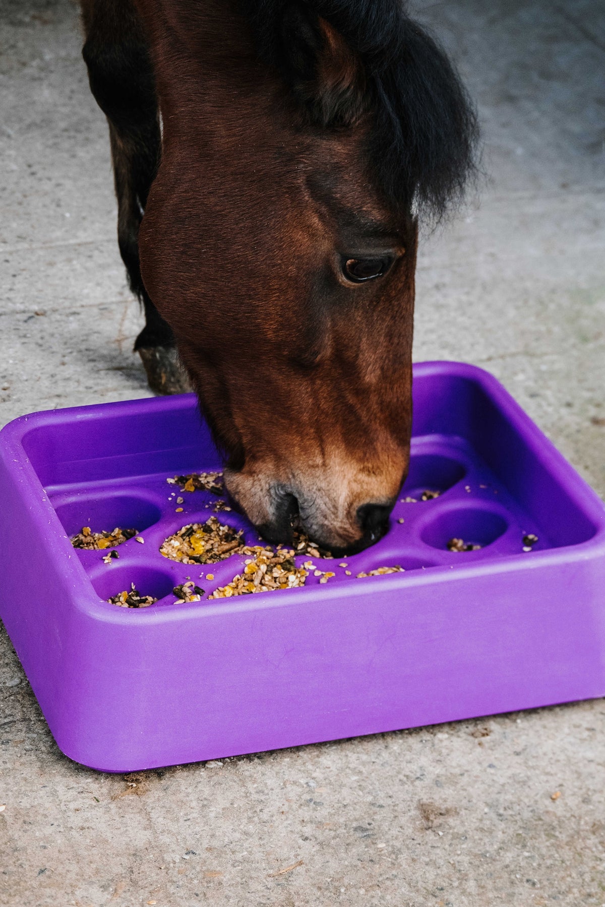 HIPPOTONIC Anti-Gorging Feeder, 14 L Horse Feeders & Waterers