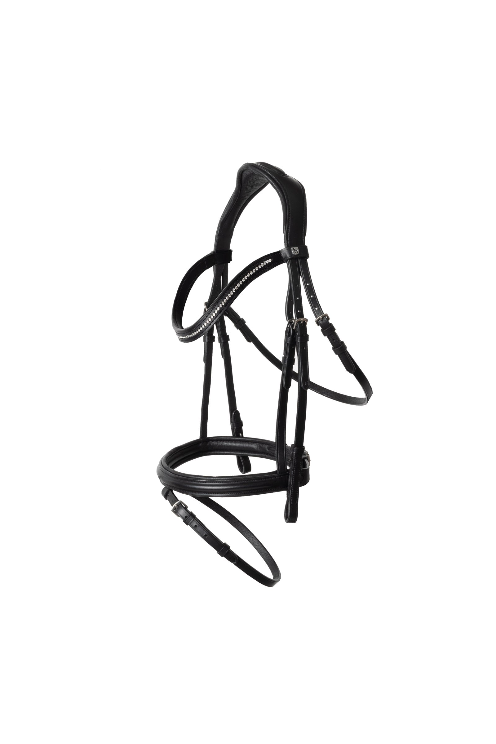 Alt Tag fallback text for IMAGE