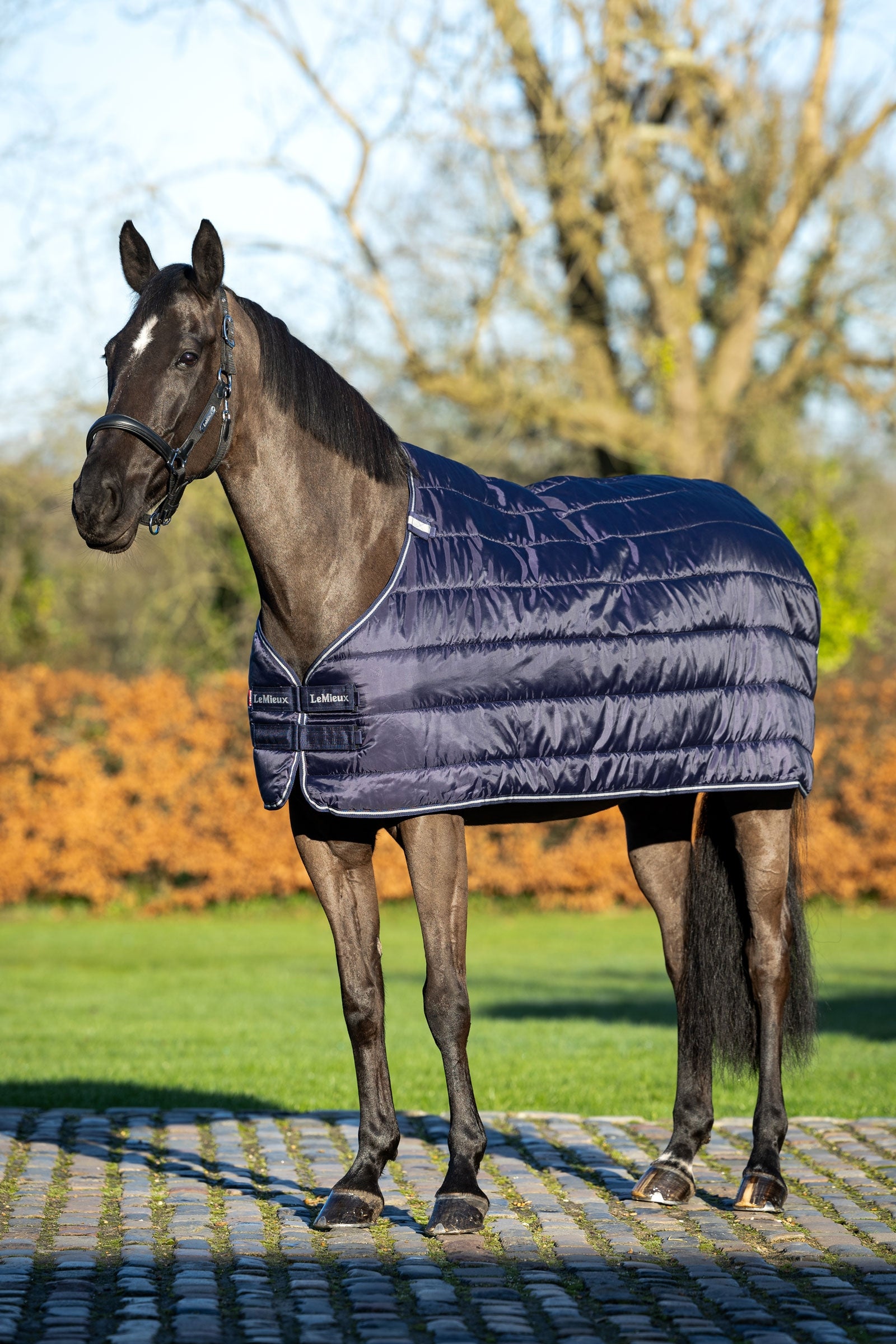LeMieux liner, 100 g Paardendekens