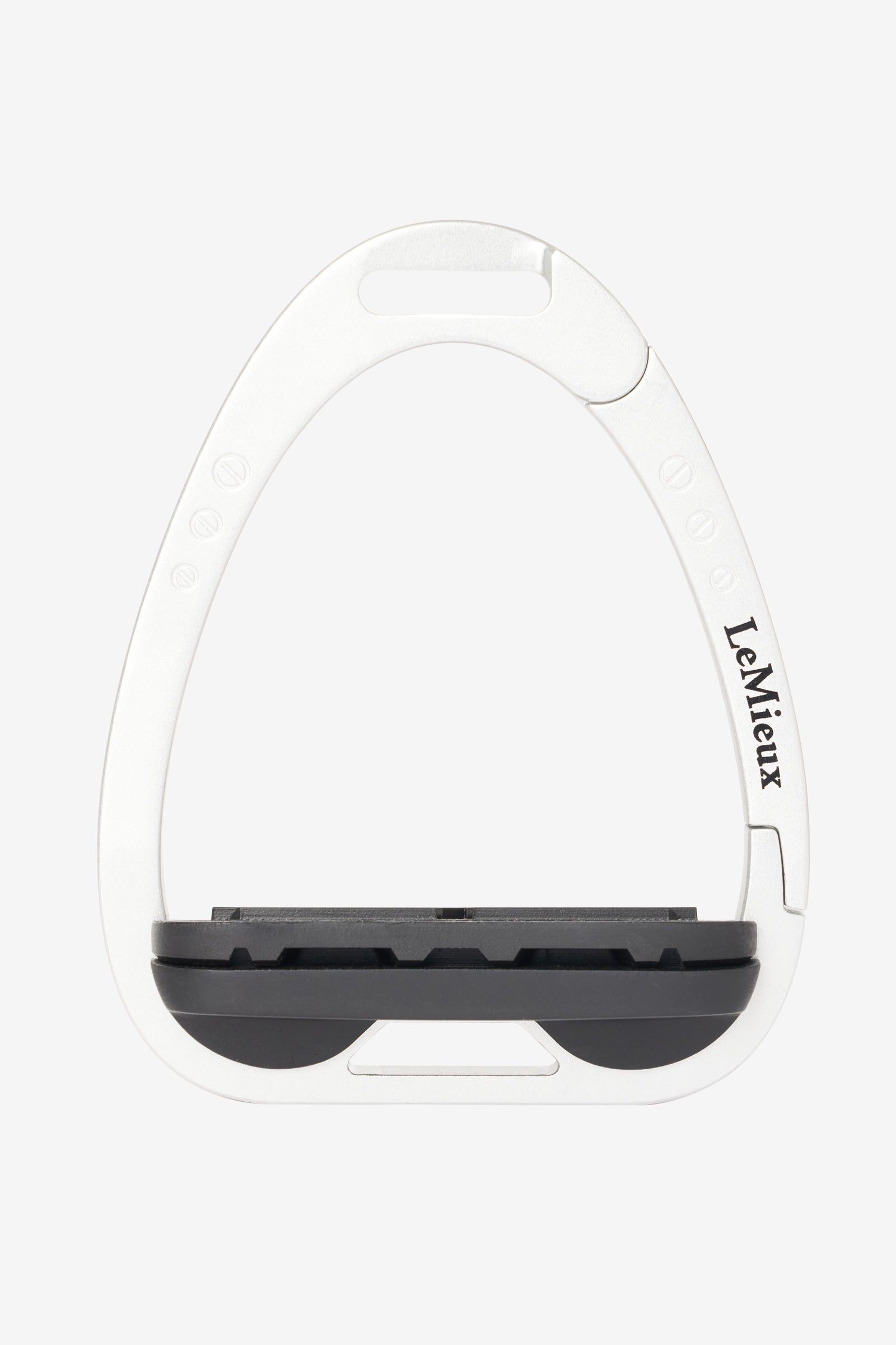 Alt Tag fallback text for IMAGE