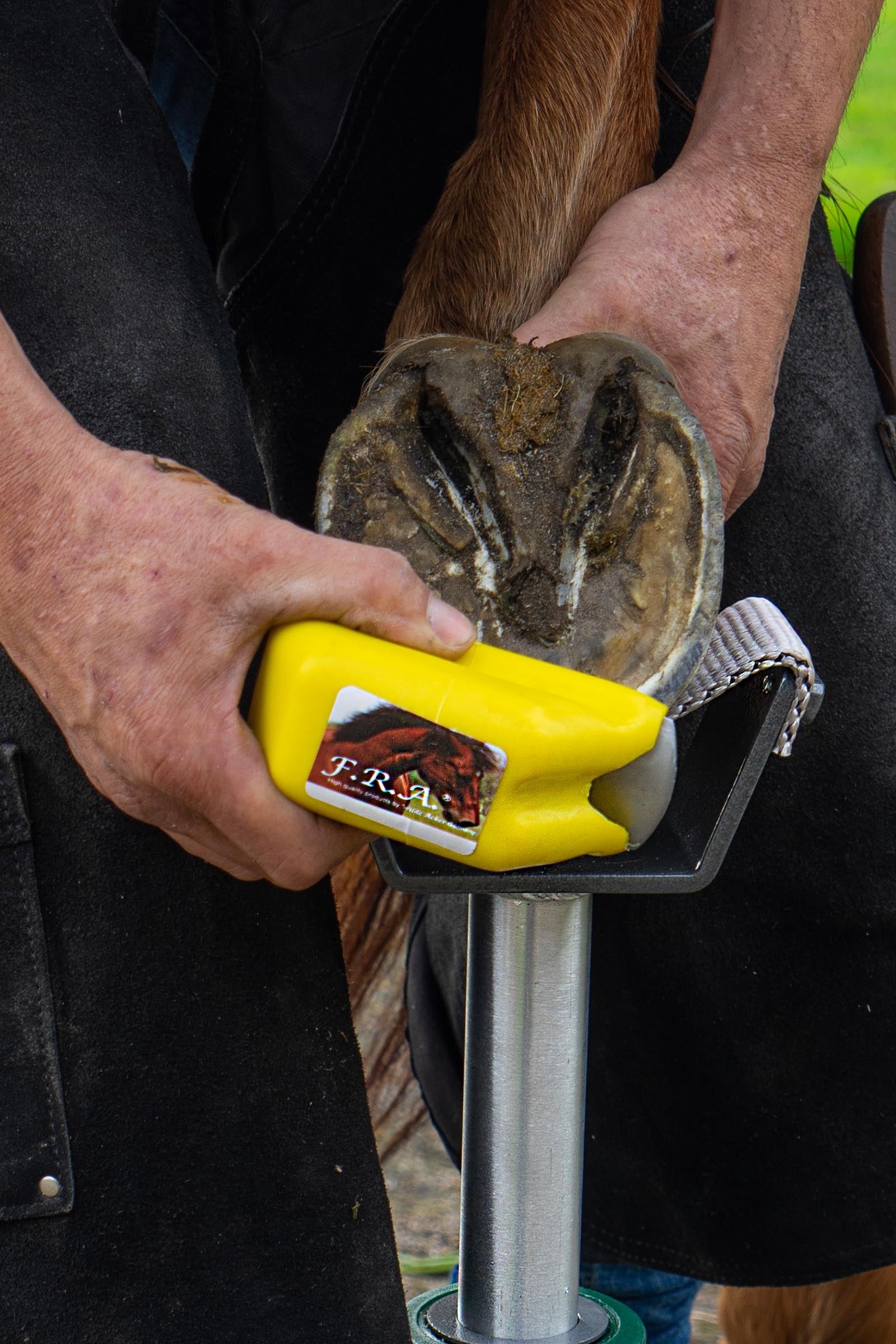 F.R.A. Freedom Riding Articles Simple Rasp, Replacaeble Wrought Iron Blade, Fine Finish Farrier Tools