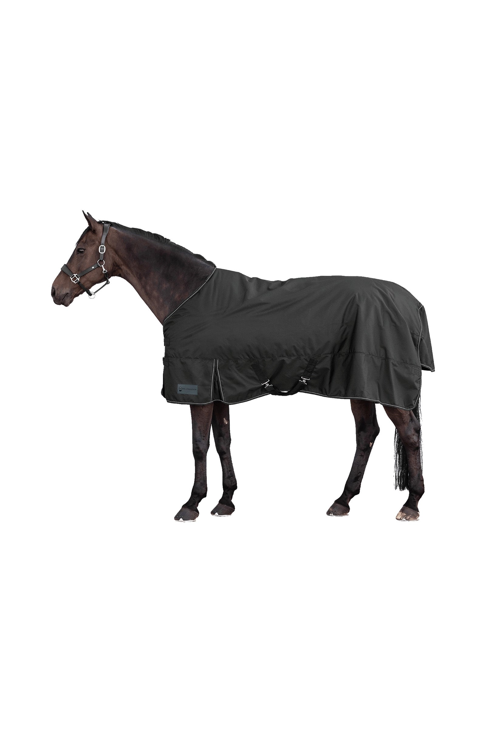 Waldhausen NORDIC 600D Outdoor Rug, 50 g Horse Rugs