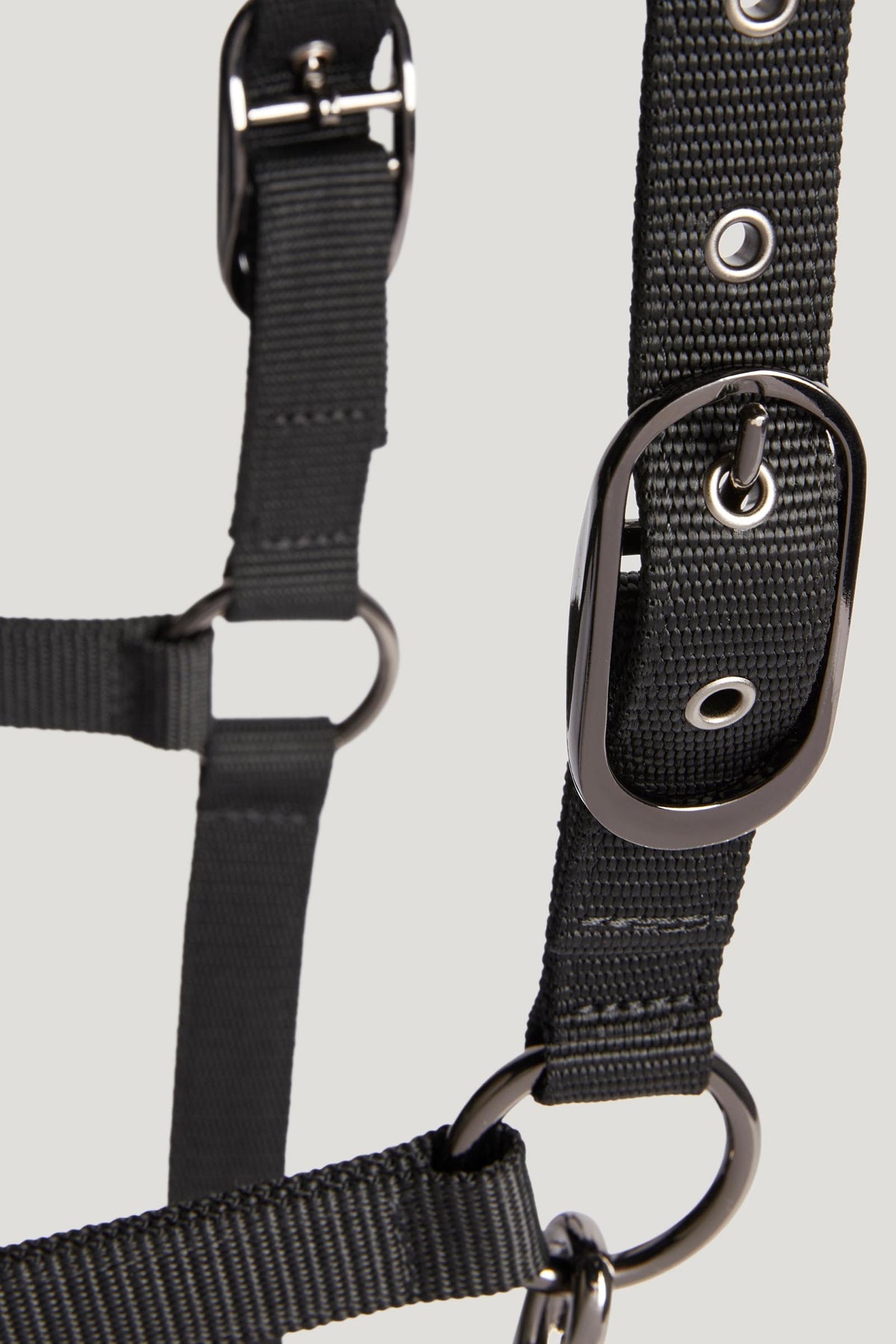 Tommy Hilfiger Equestrian Yale Shine Set Halter Rope Halters & Leads