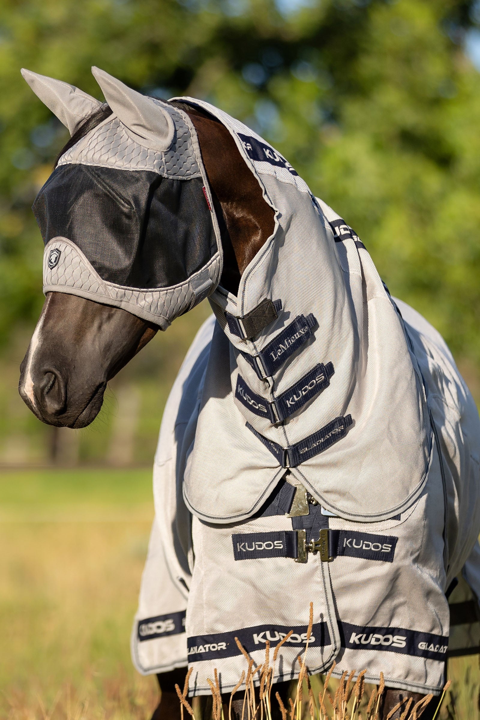 LeMieux Gladiator Half Fly Mask Antifly Protection for Horses