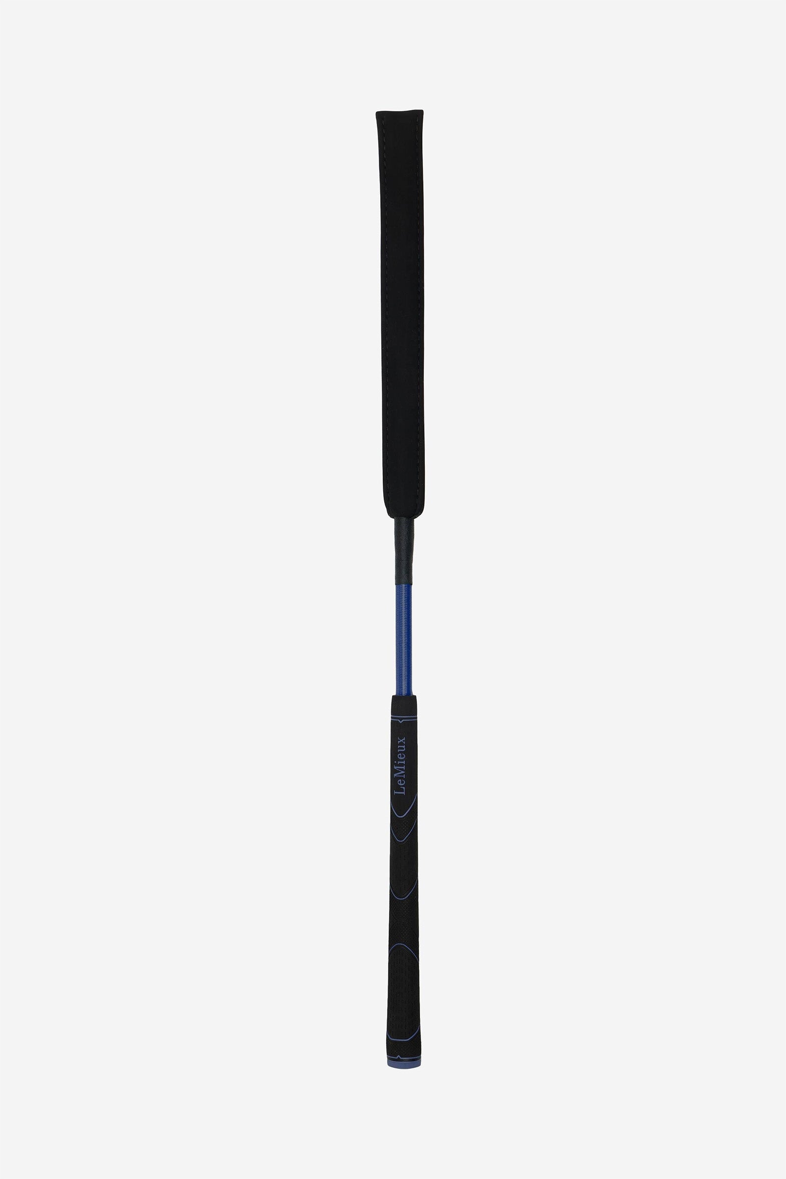 Alt Tag fallback text for IMAGE
