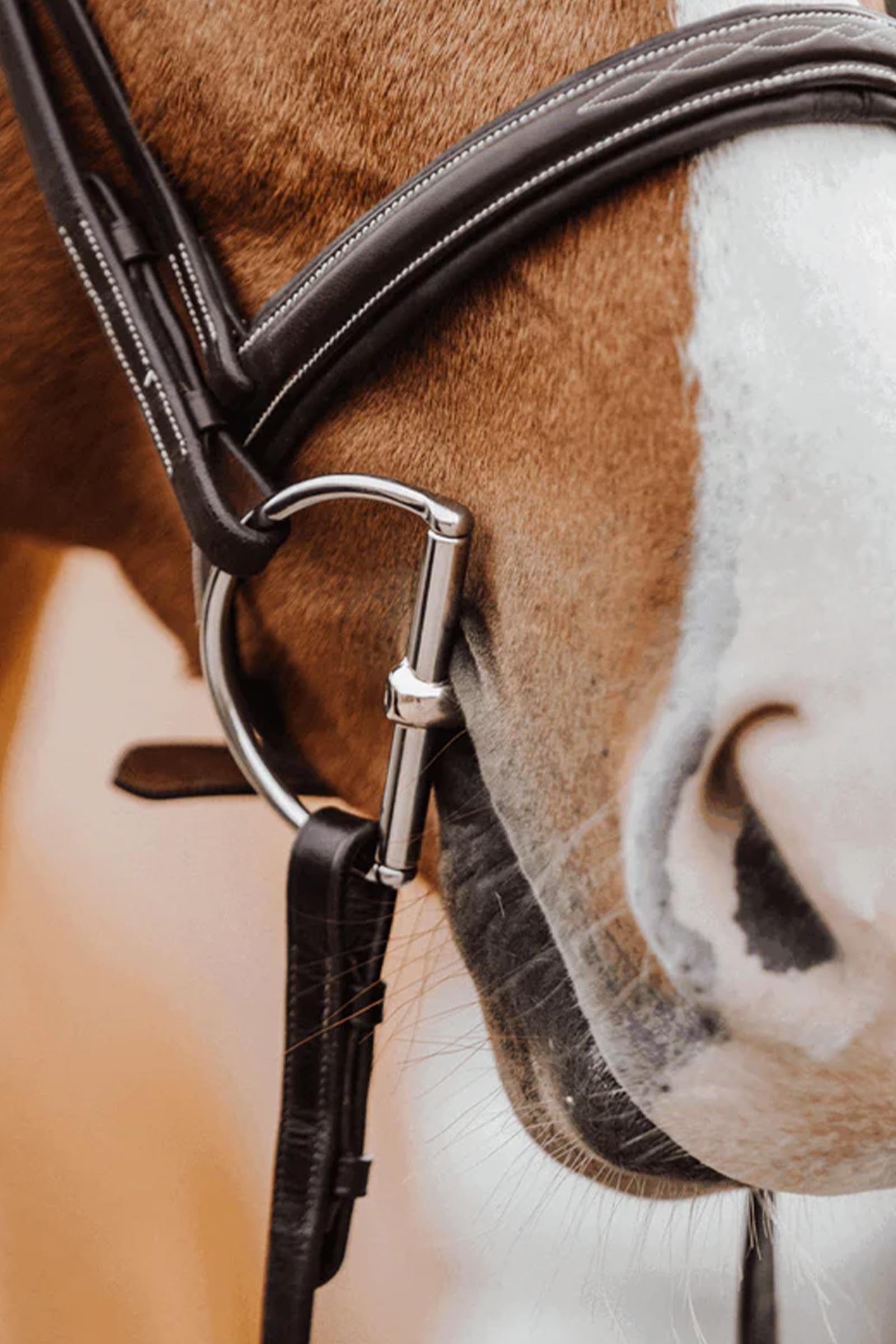 Sprenger KK D-Ring Snaffle Bit, Single Jt. 14mm, Sensogan Horse Bits