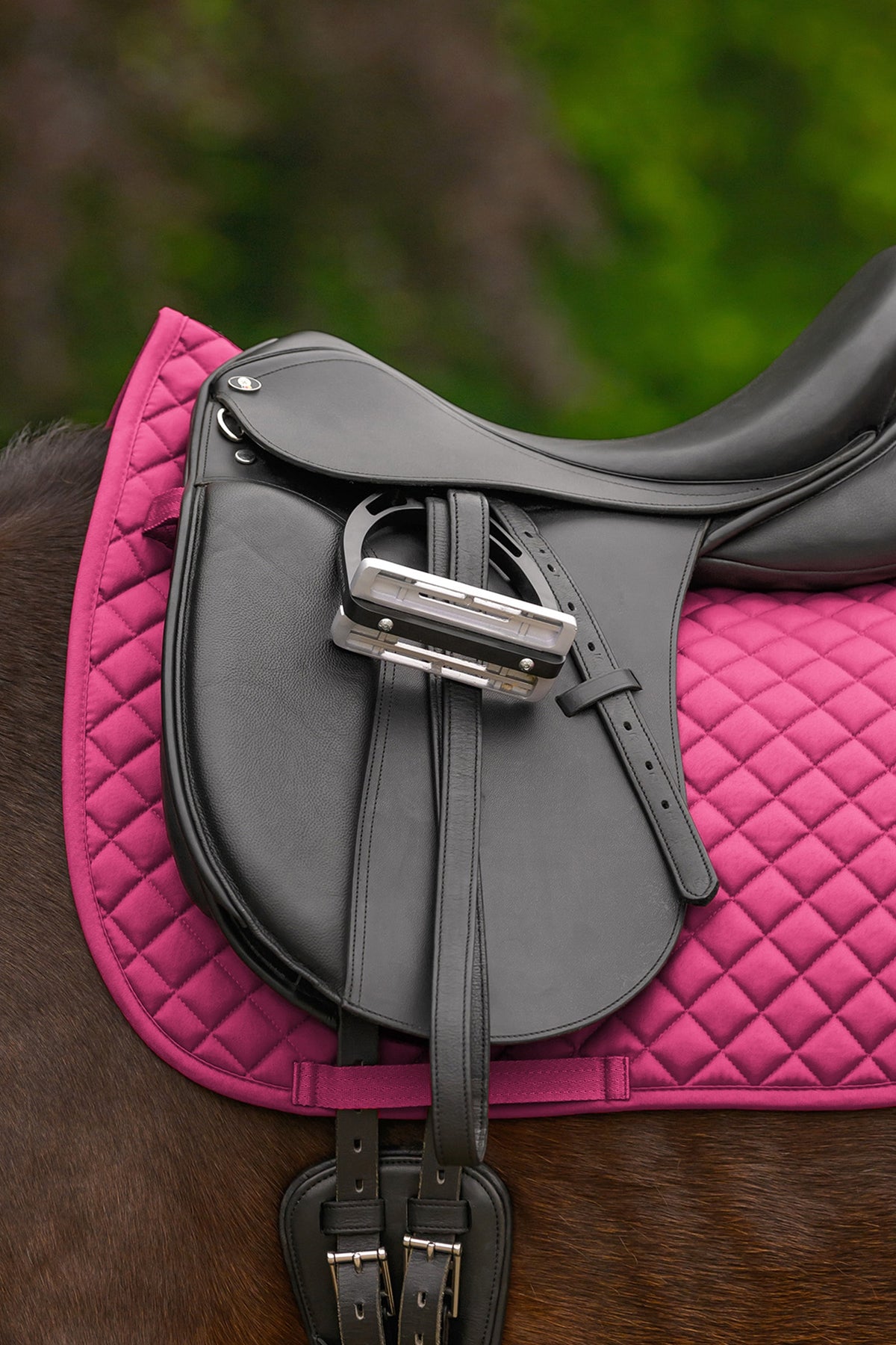 Waldhausen Felix Universal Dressage Saddle Pad Saddle Pads