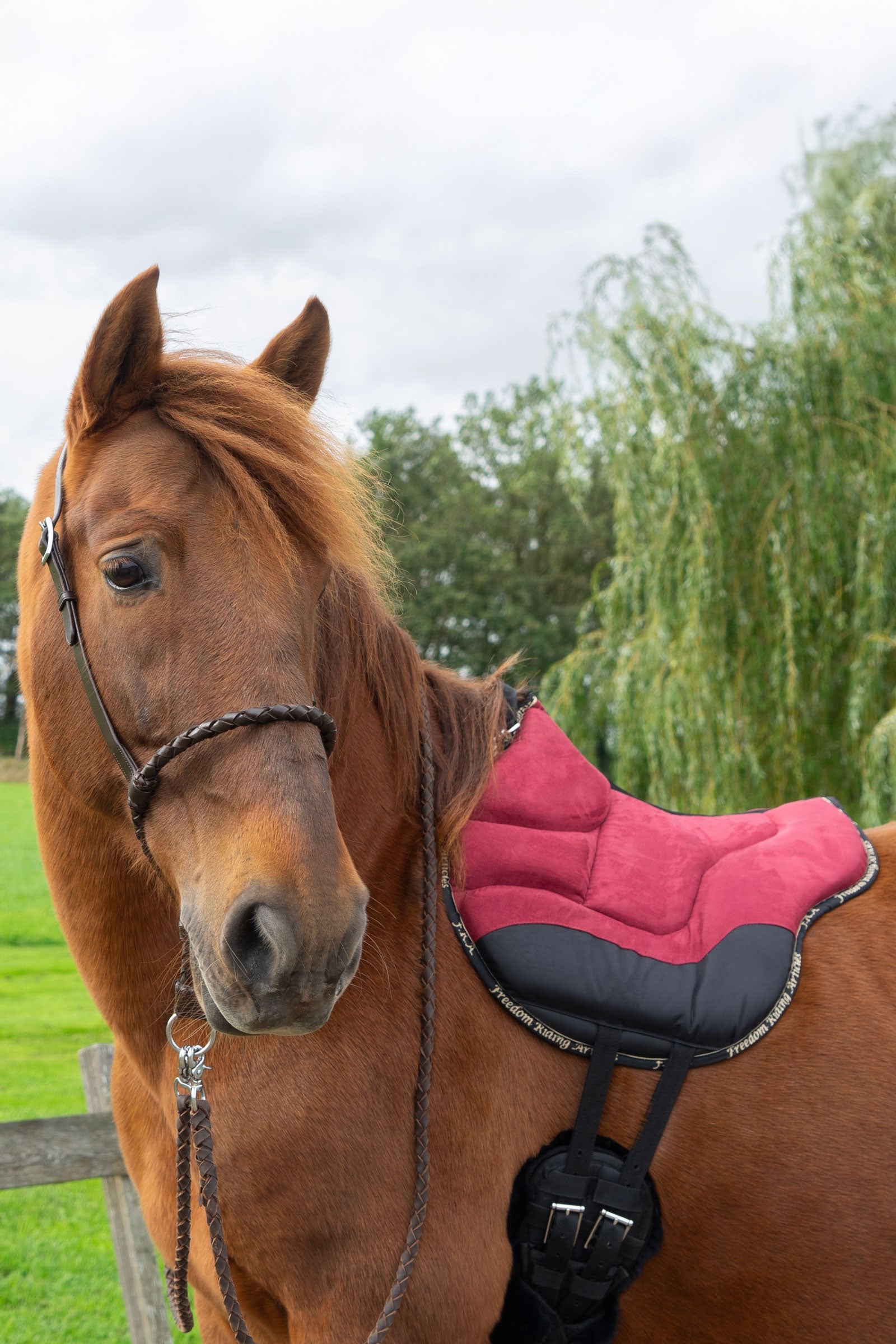 F.R.A. Freedom Riding Articles Dardo Basic Riding Pad Saddles, Girths & Stirrups